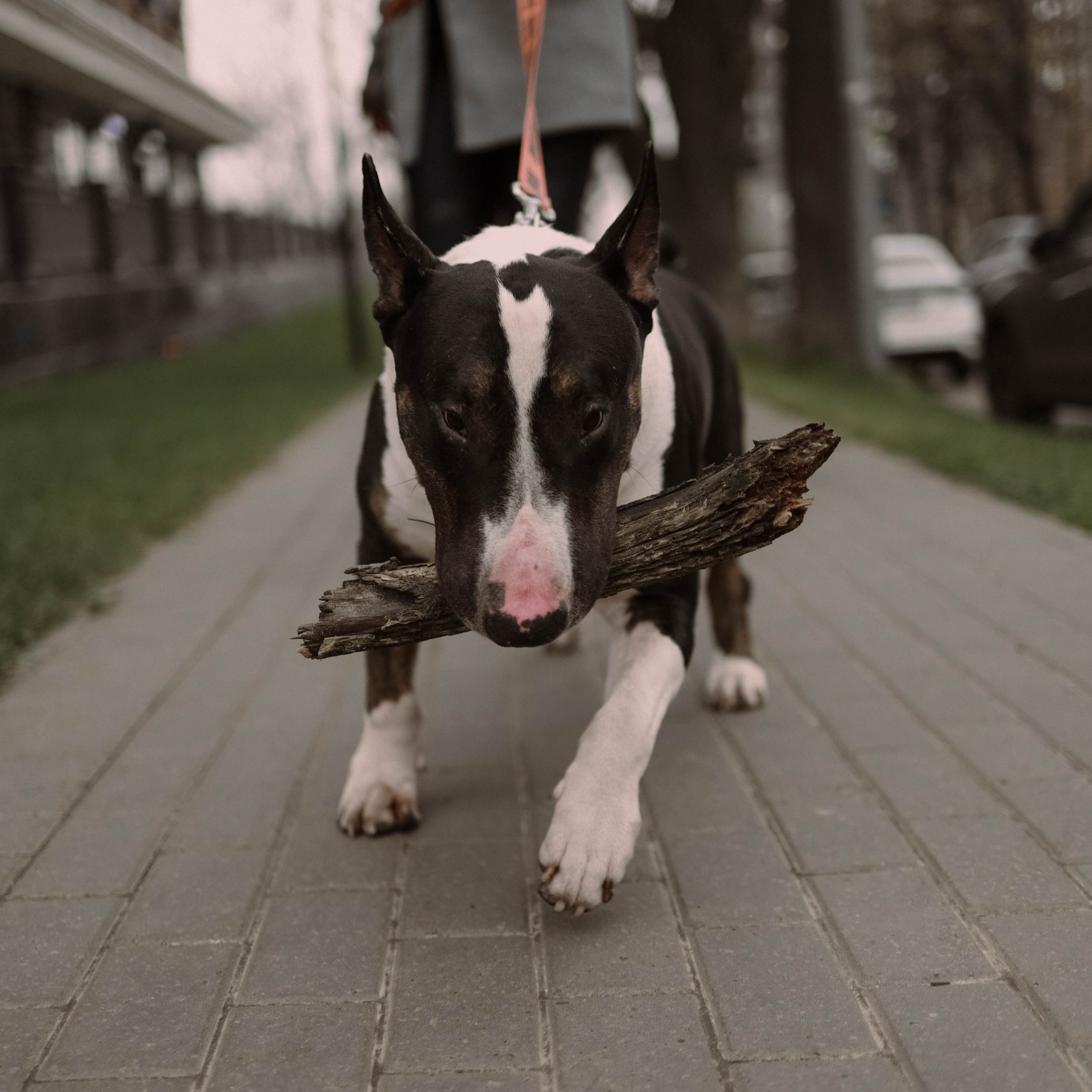 MARI. Ника, фотограф из Нижнего Новгорода