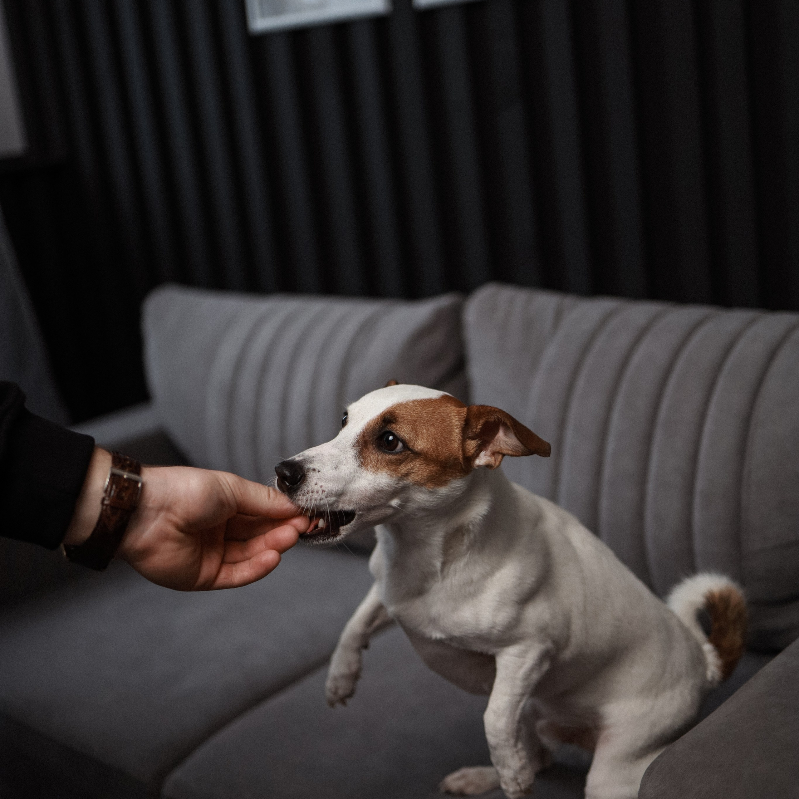 AL&DI. Ника, фотограф из Нижнего Новгорода