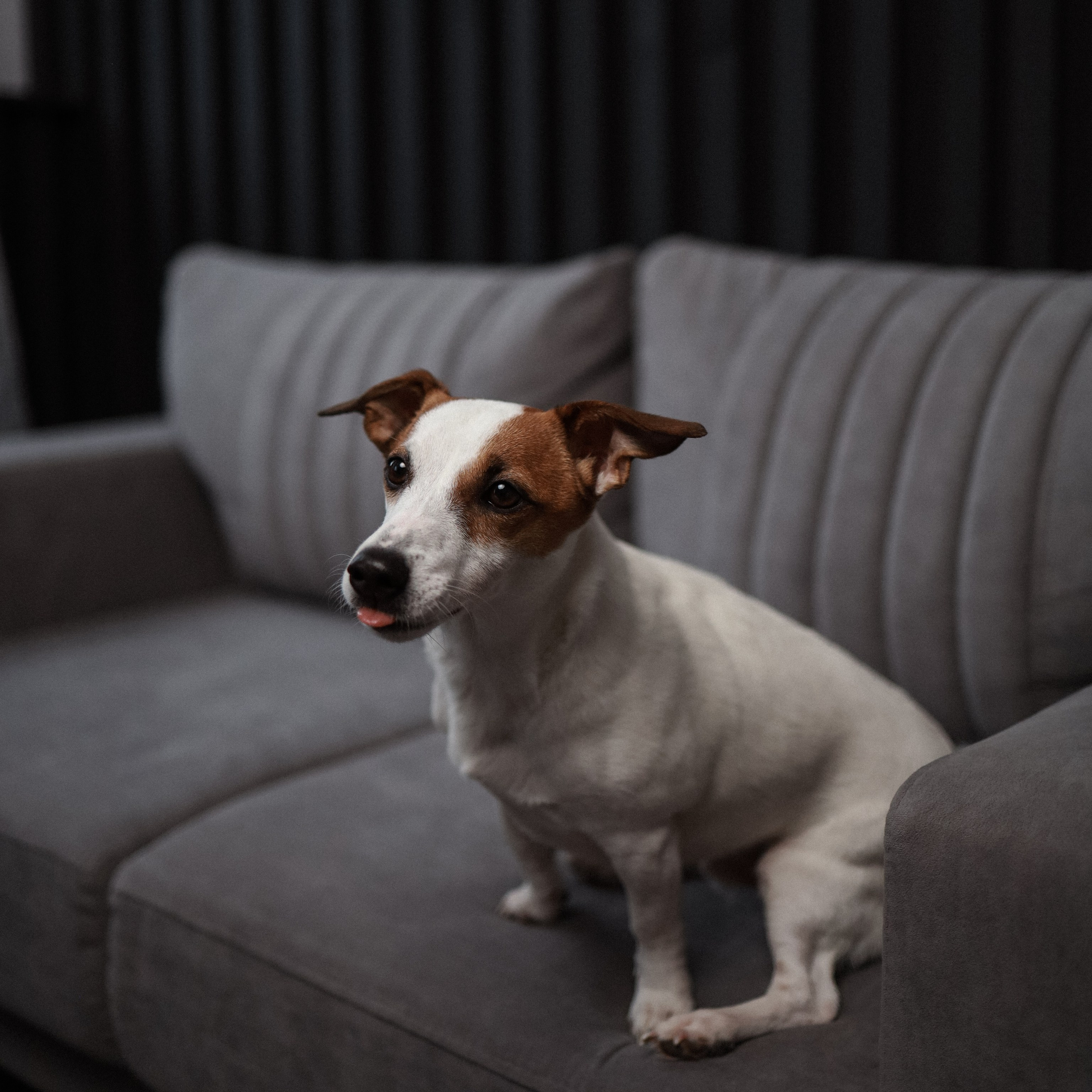 AL&DI. Ника, фотограф из Нижнего Новгорода