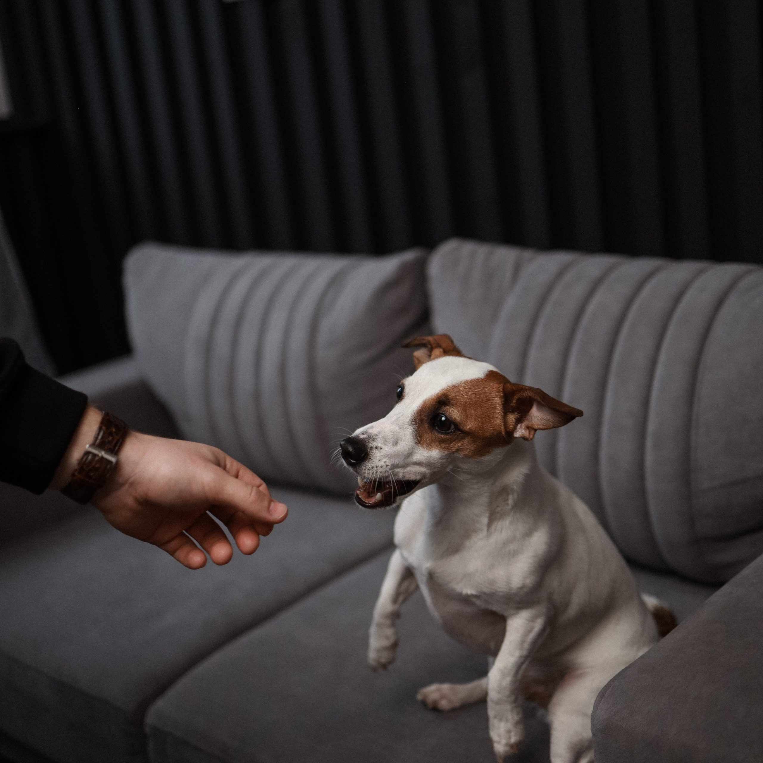 AL&DI. Ника, фотограф из Нижнего Новгорода