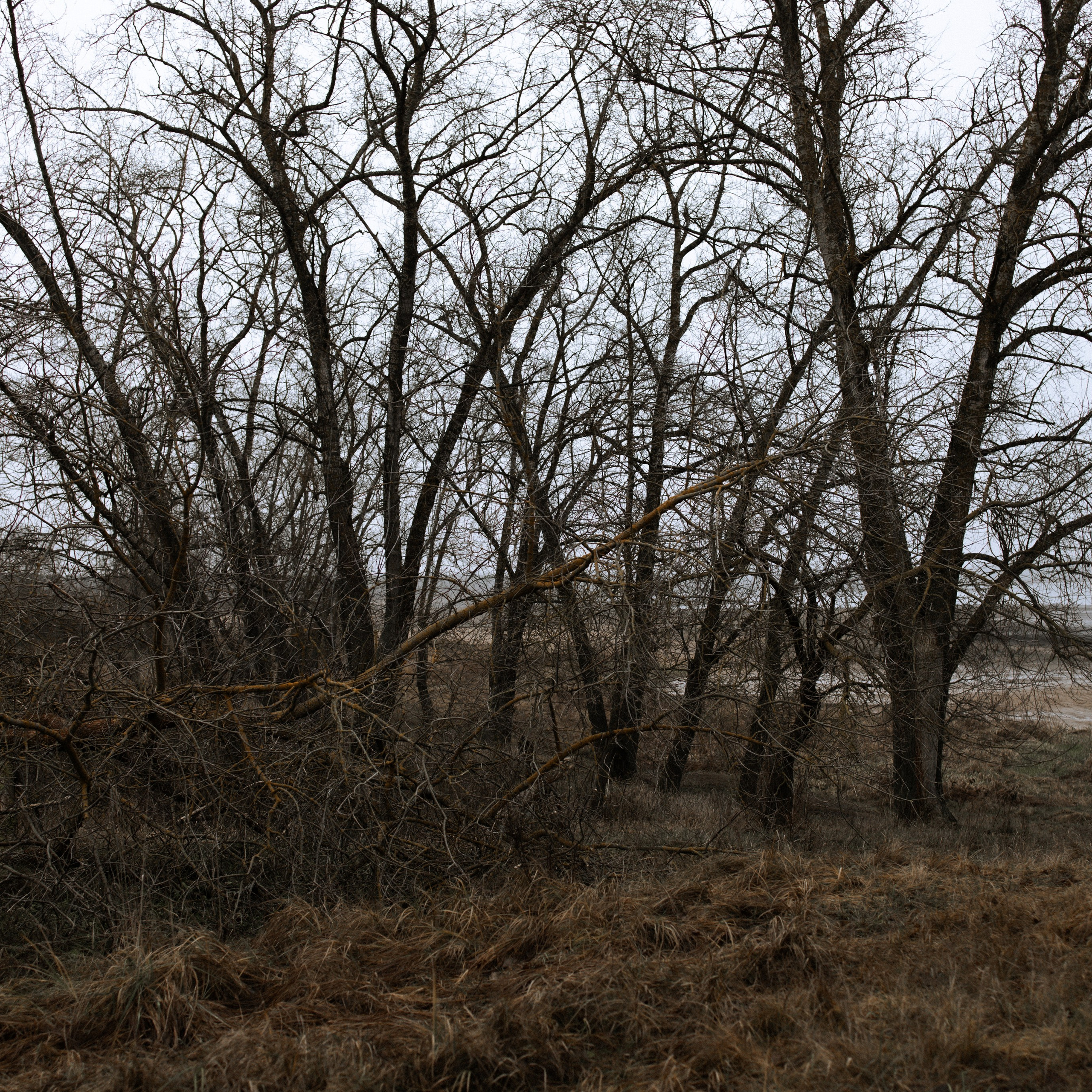 YANA. Ника, фотограф из Нижнего Новгорода