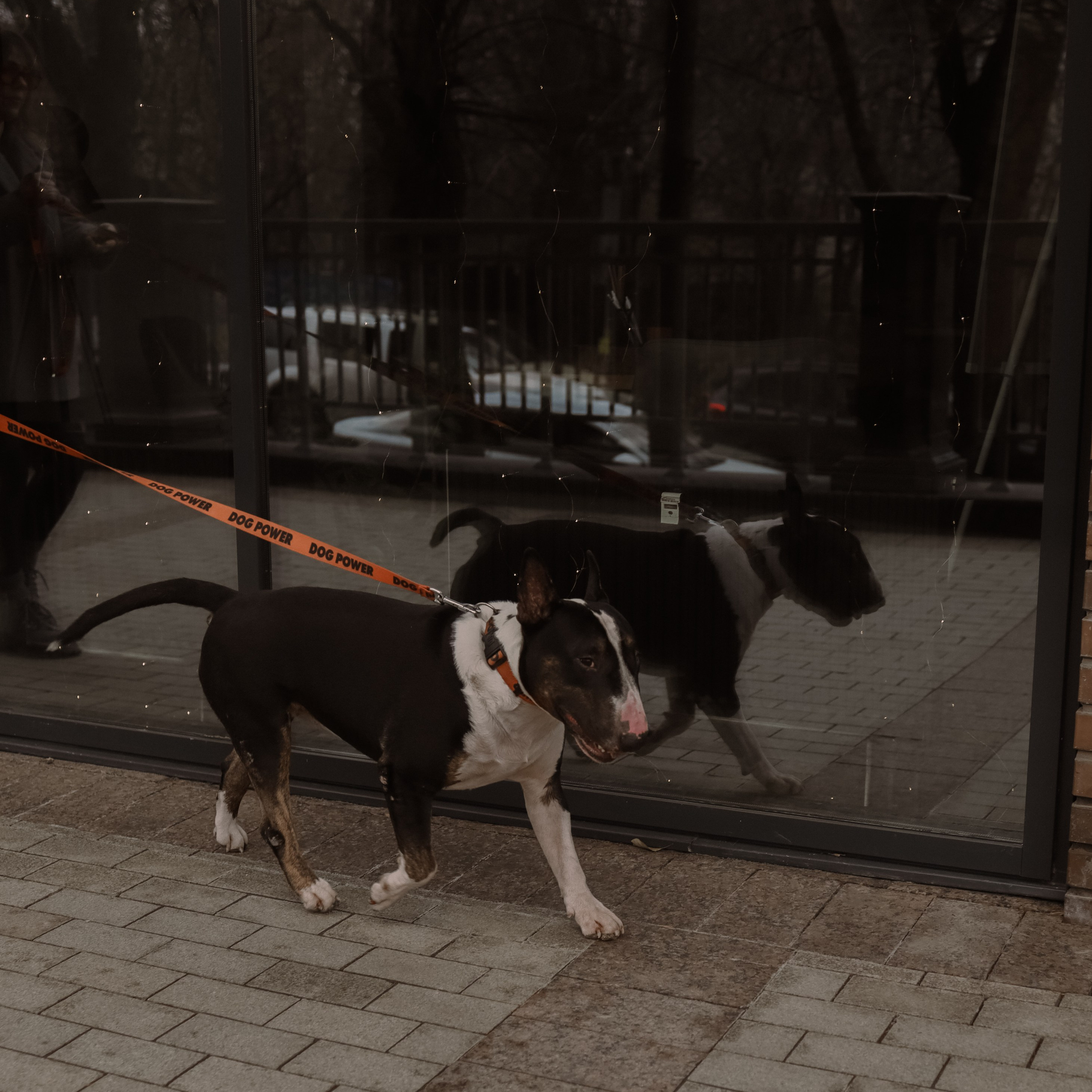 MARI. Ника, фотограф из Нижнего Новгорода