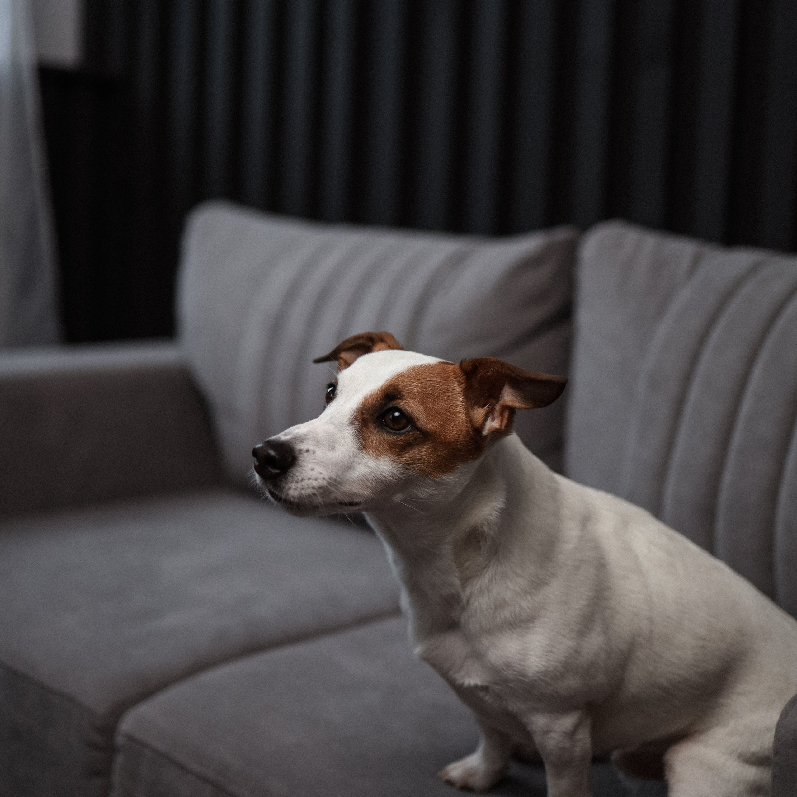 AL&DI. Ника, фотограф из Нижнего Новгорода