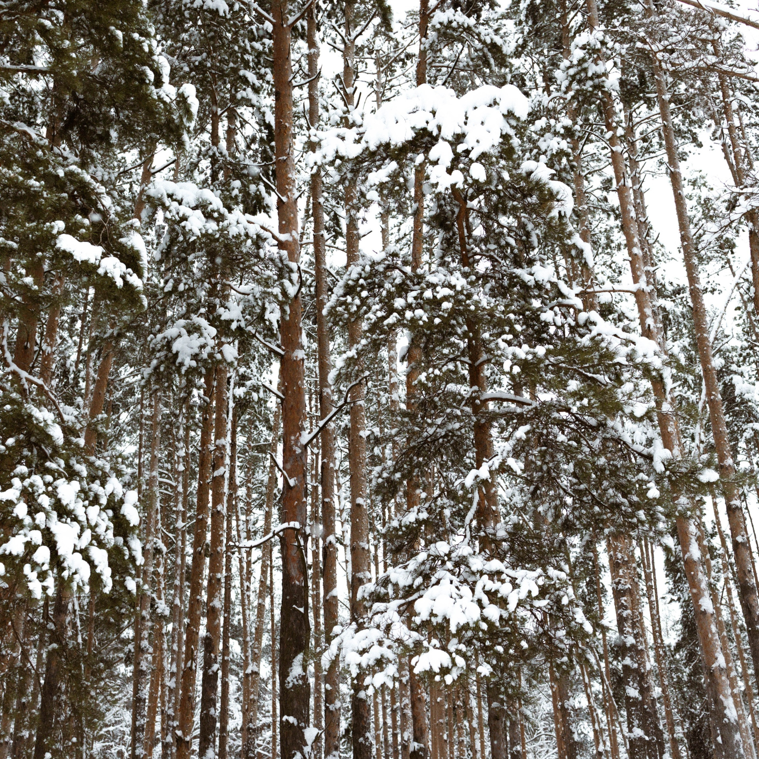 K&Y. Ника, фотограф из Нижнего Новгорода