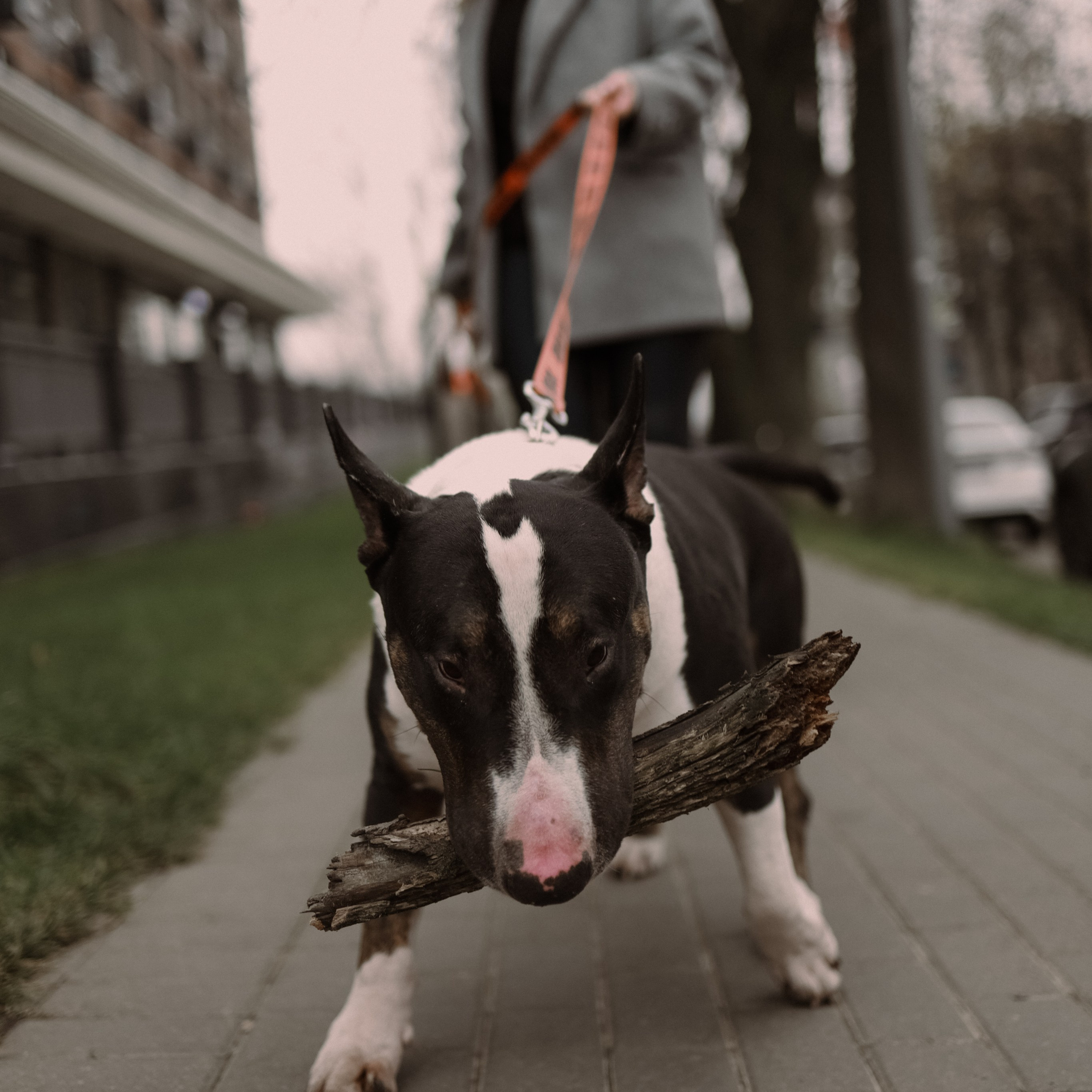 MARI. Ника, фотограф из Нижнего Новгорода