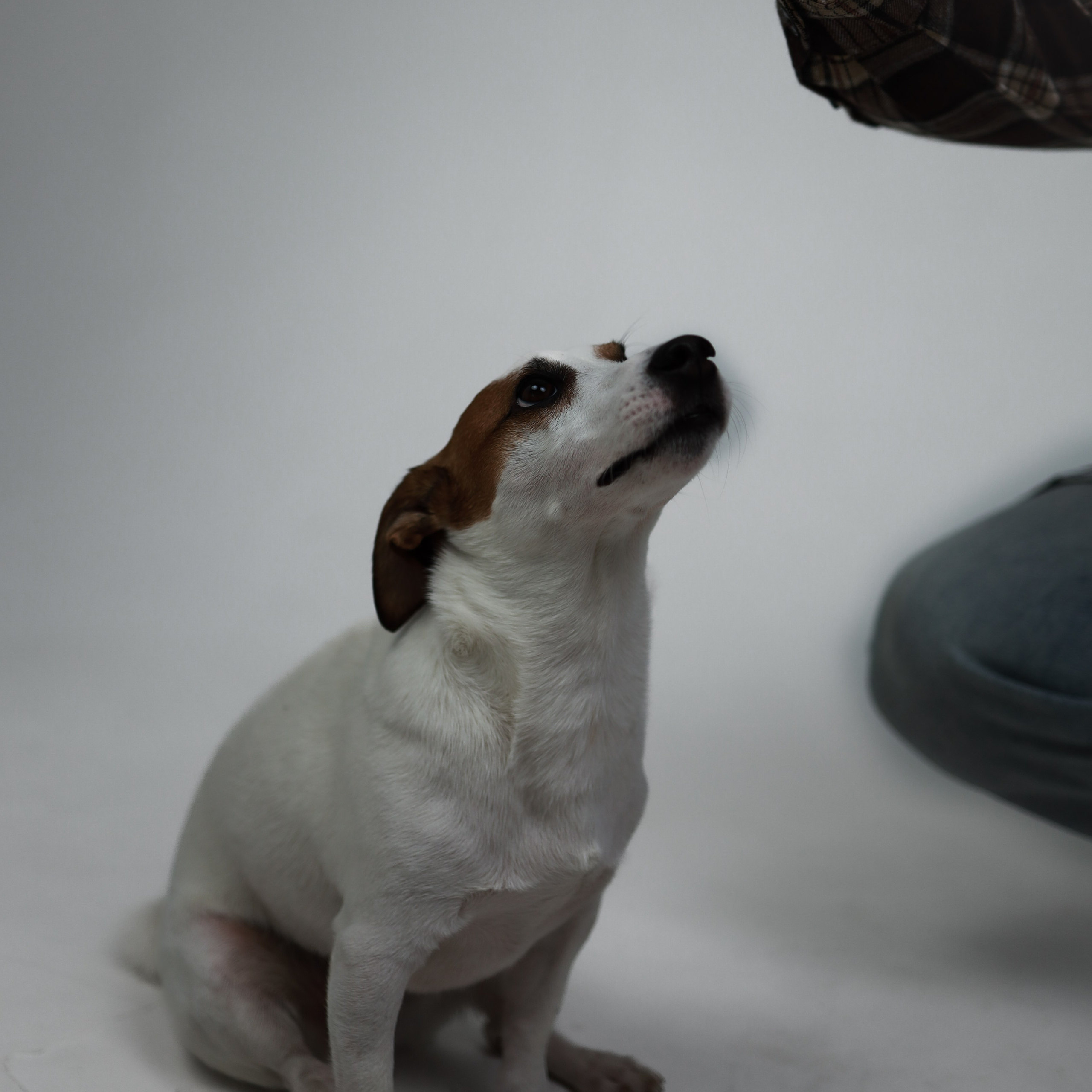 Dmitry& Alyona&Mikhail. Ника, фотограф из Нижнего Новгорода