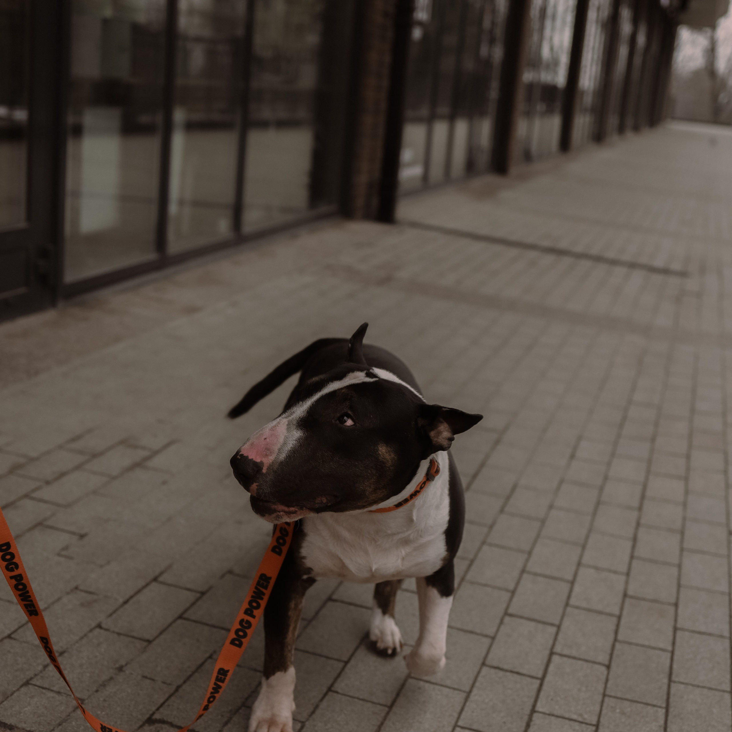 MARI. Ника, фотограф из Нижнего Новгорода