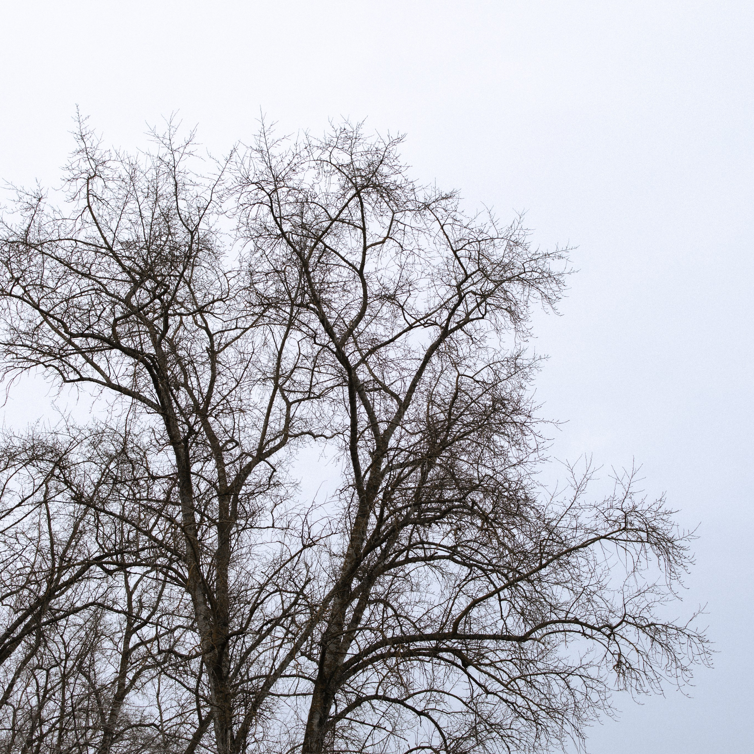 YANA. Ника, фотограф из Нижнего Новгорода