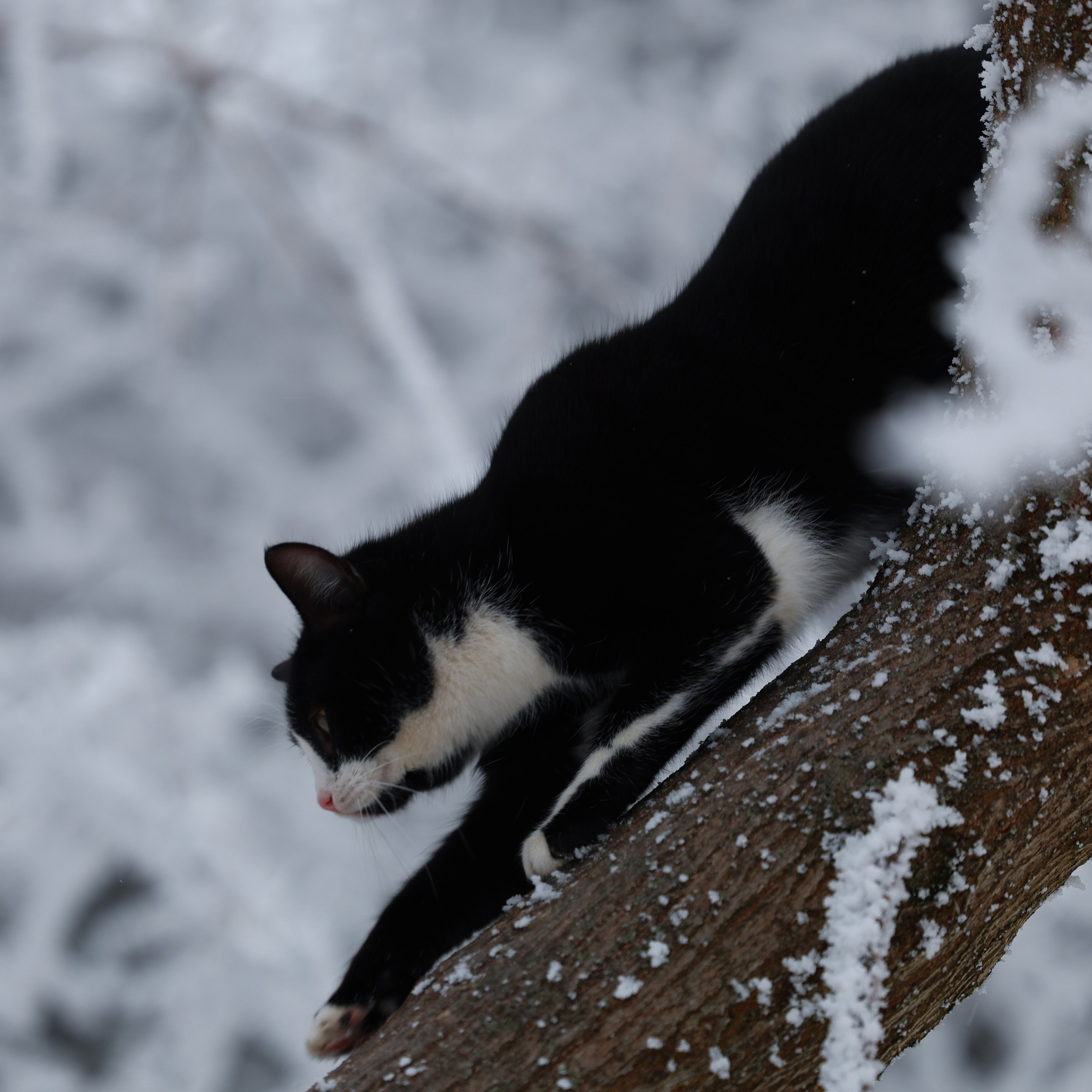 Пейзажная съёмка