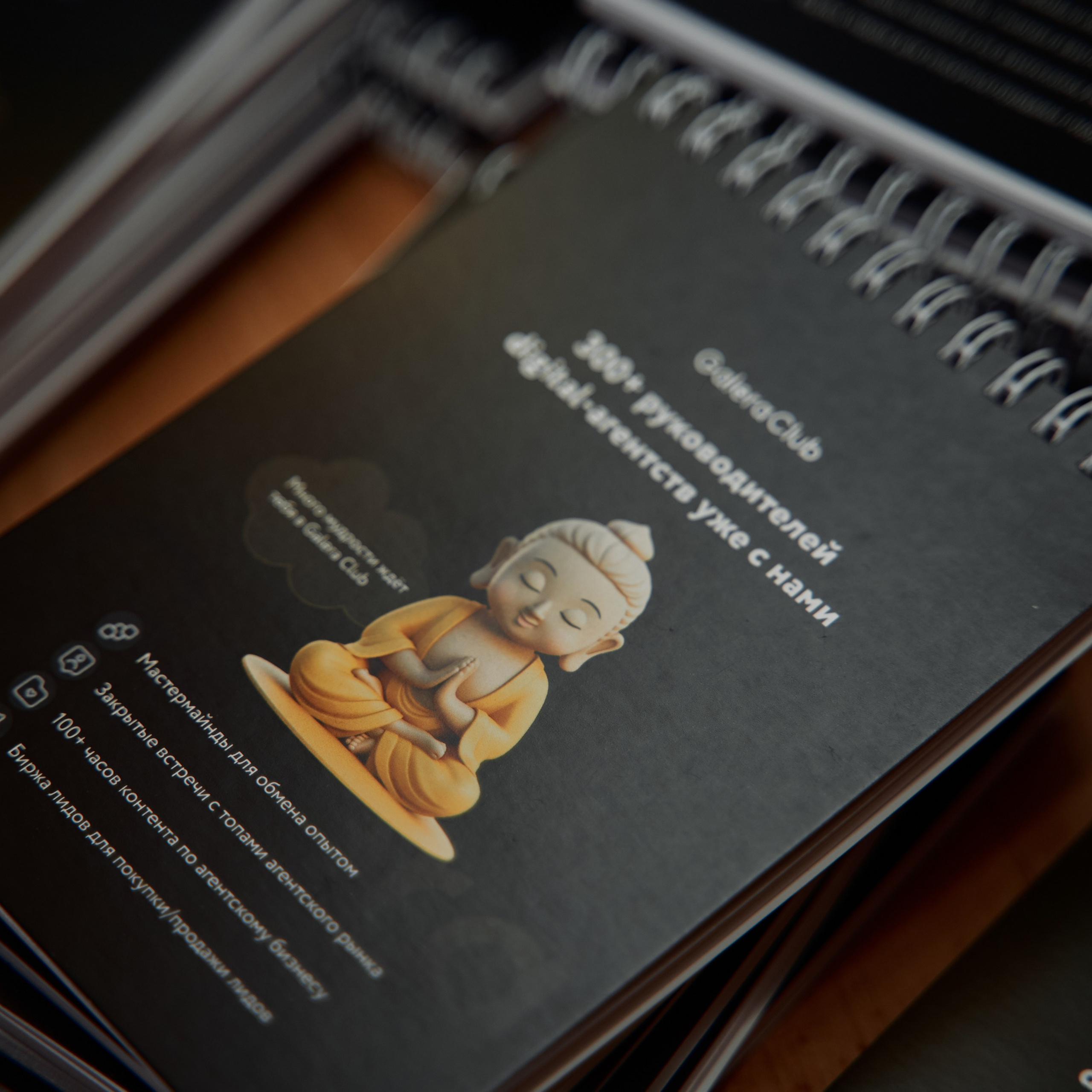 Отзывы. Фотограф Москва Арина Клокова