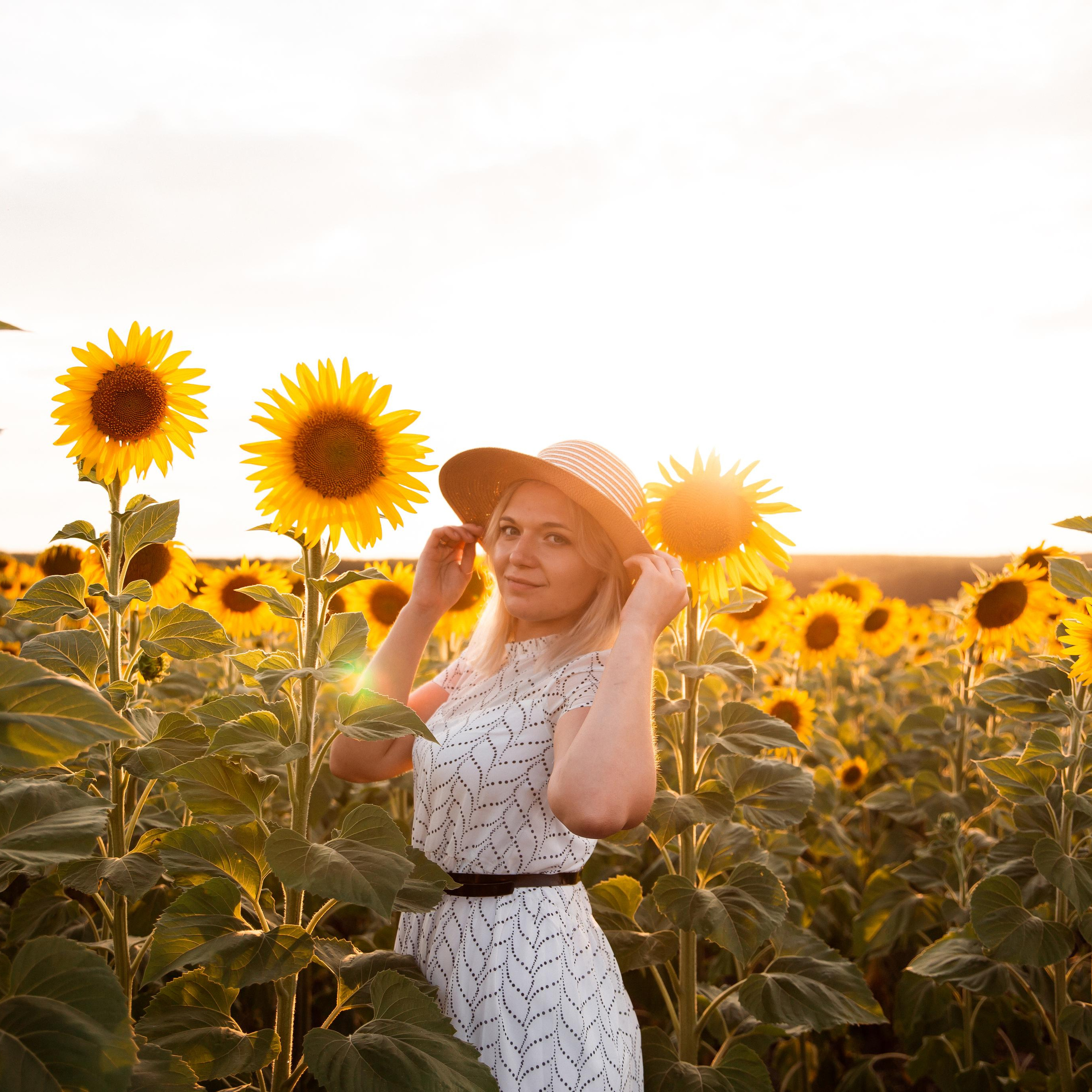 Алена, подсолнухи и&nbsp;закат