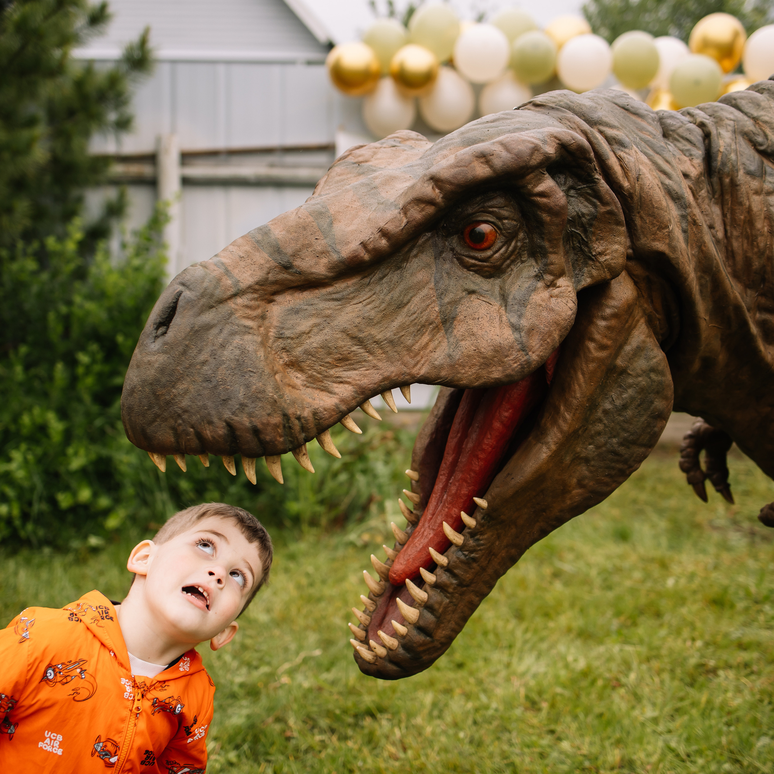 Отзывы. Фотограф Ступино, Коломна, Москва