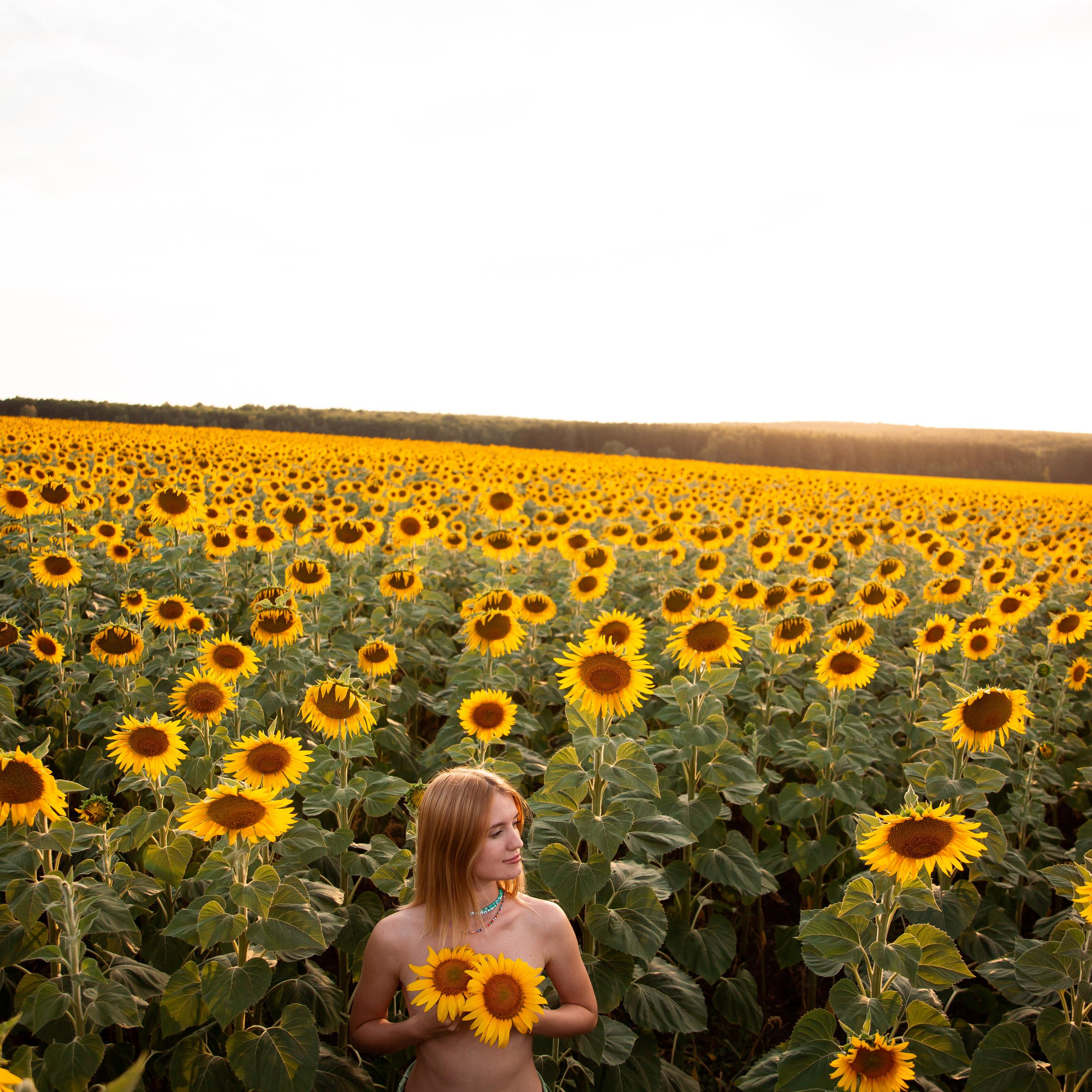 Таня и&nbsp;море подсолнухов