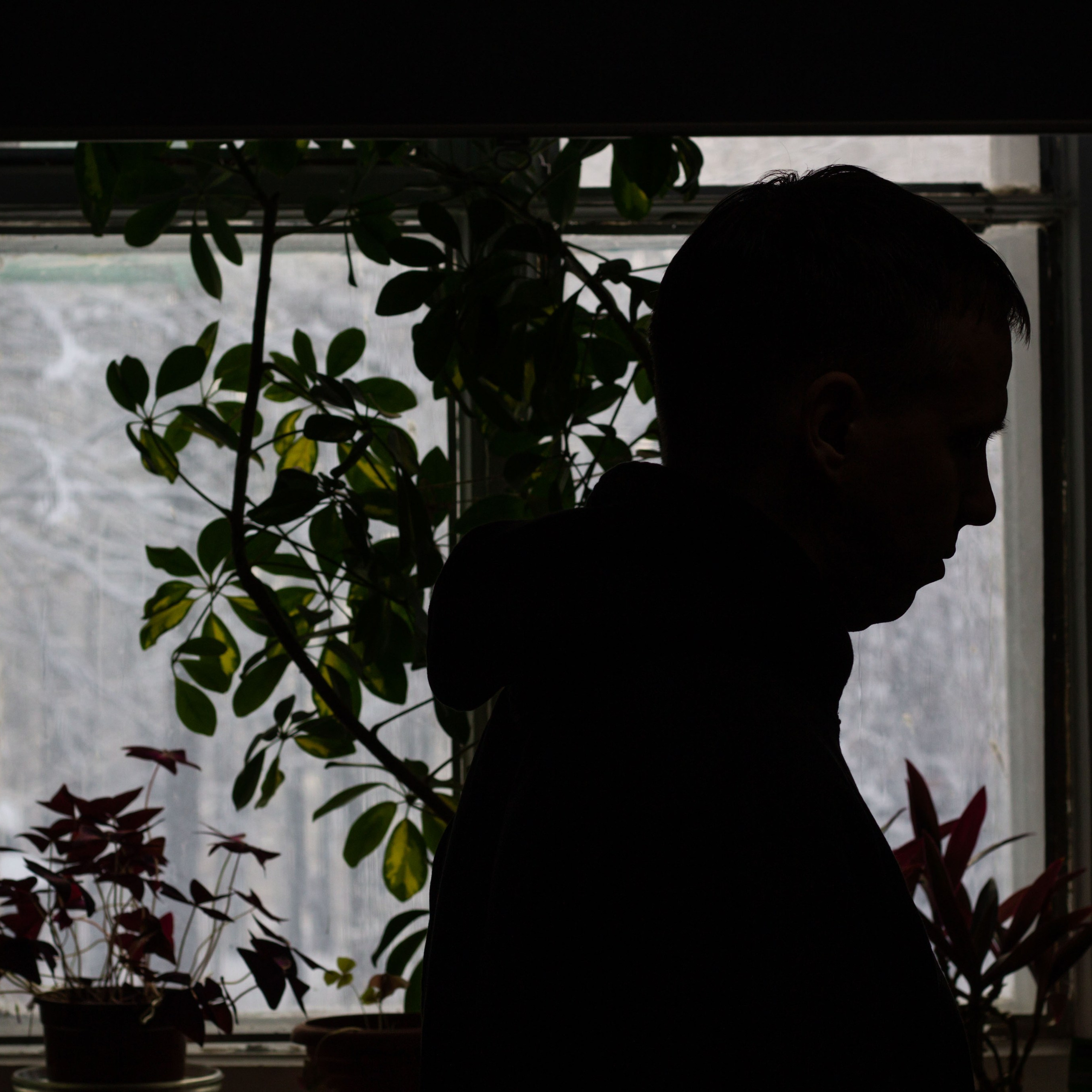 Один день из жизни сценариста