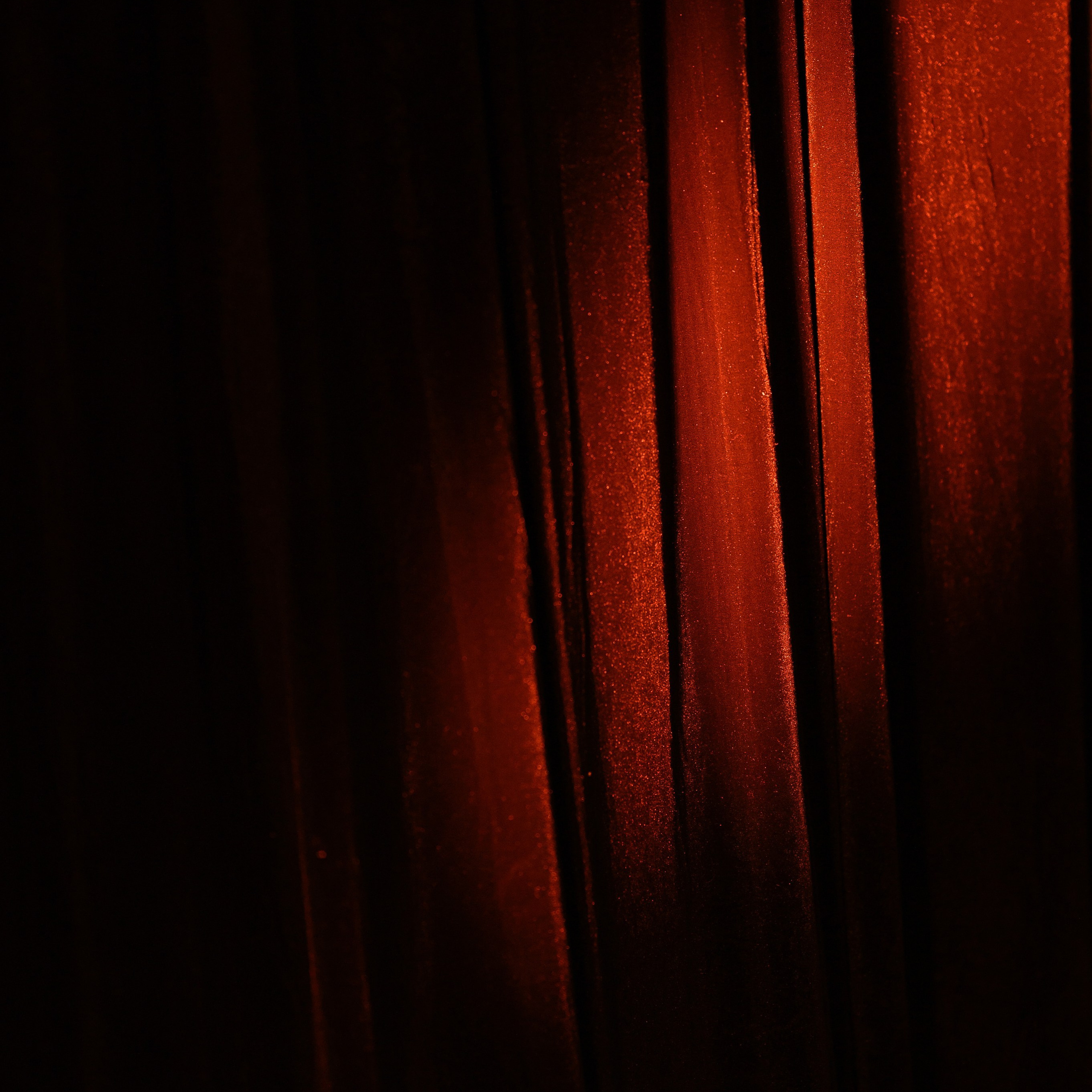 Отзывы. Фотограф Антон Горин