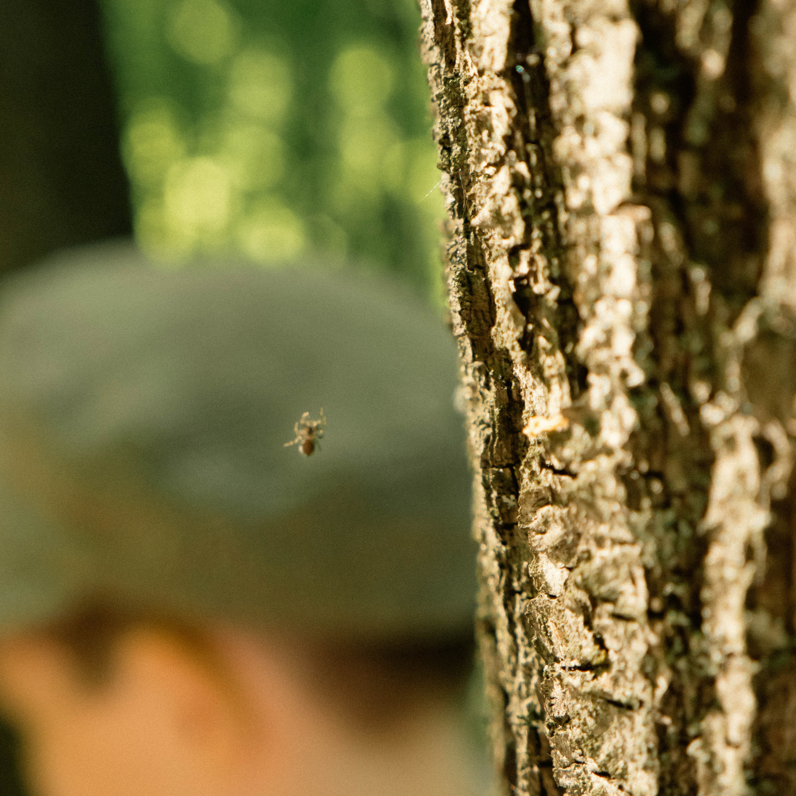 Фото по известным сказкам