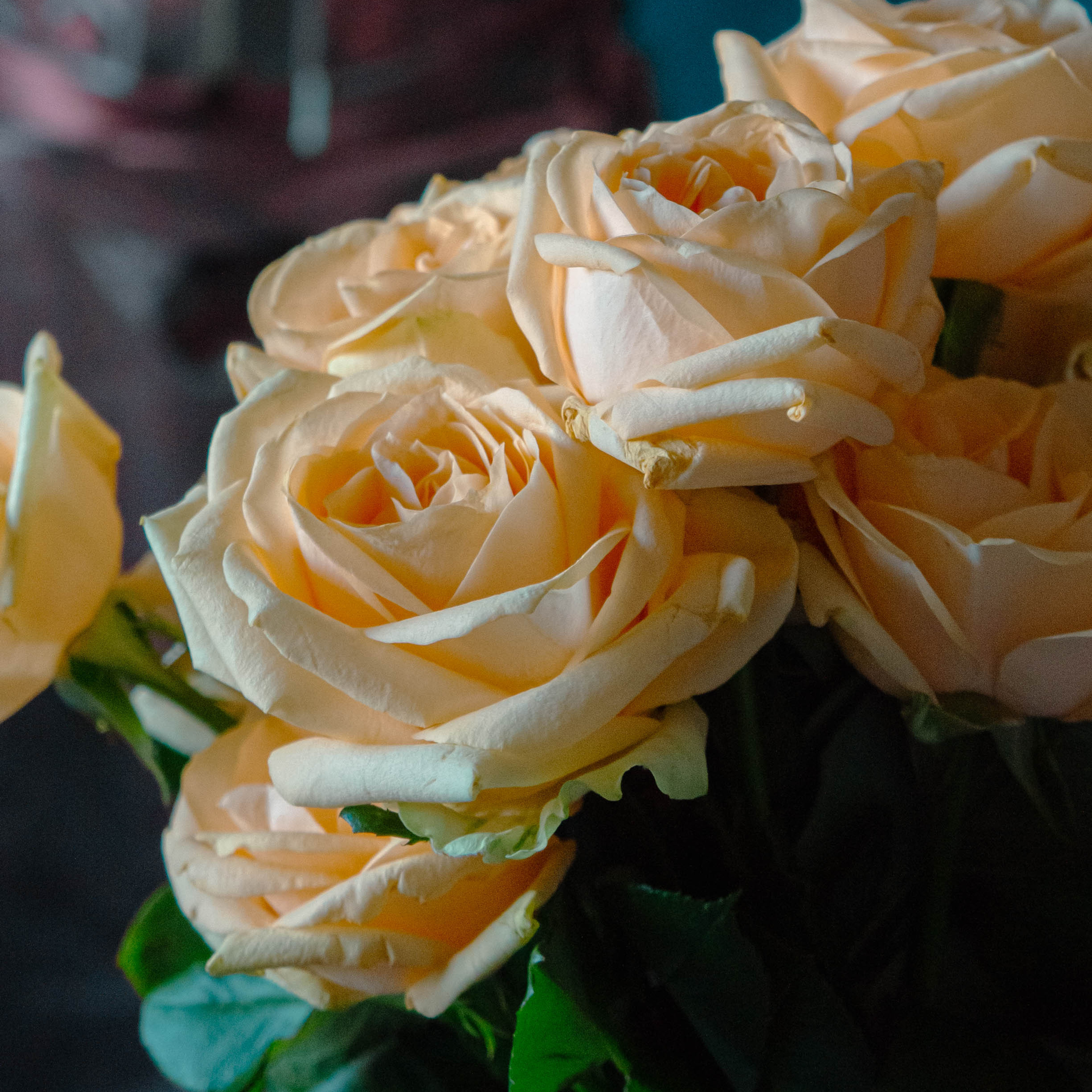 Истории. ФОТОГРАФ САРАТОВ