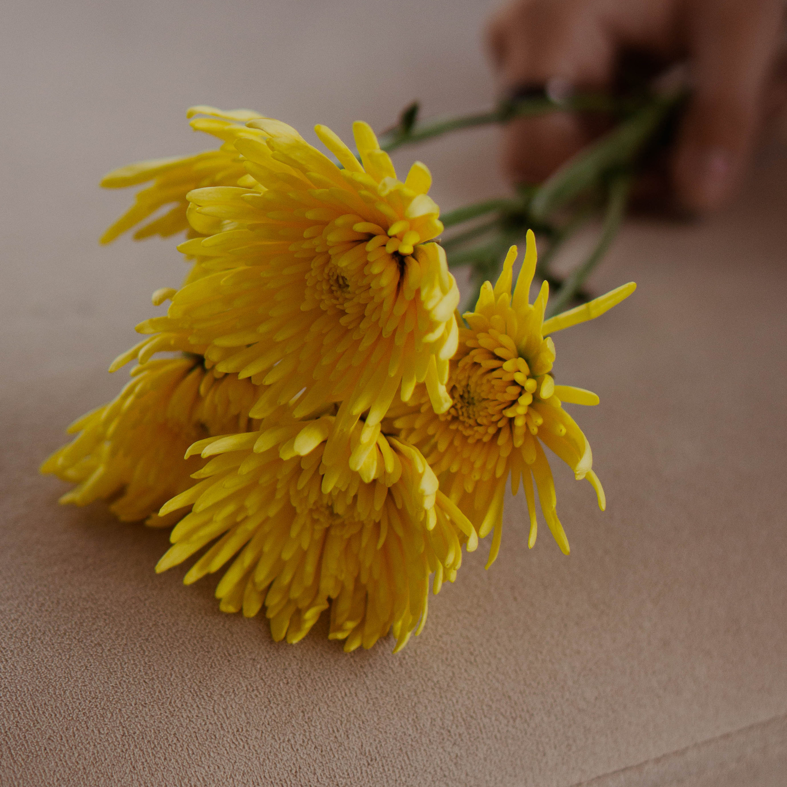 Истории. ФОТОГРАФ САРАТОВ