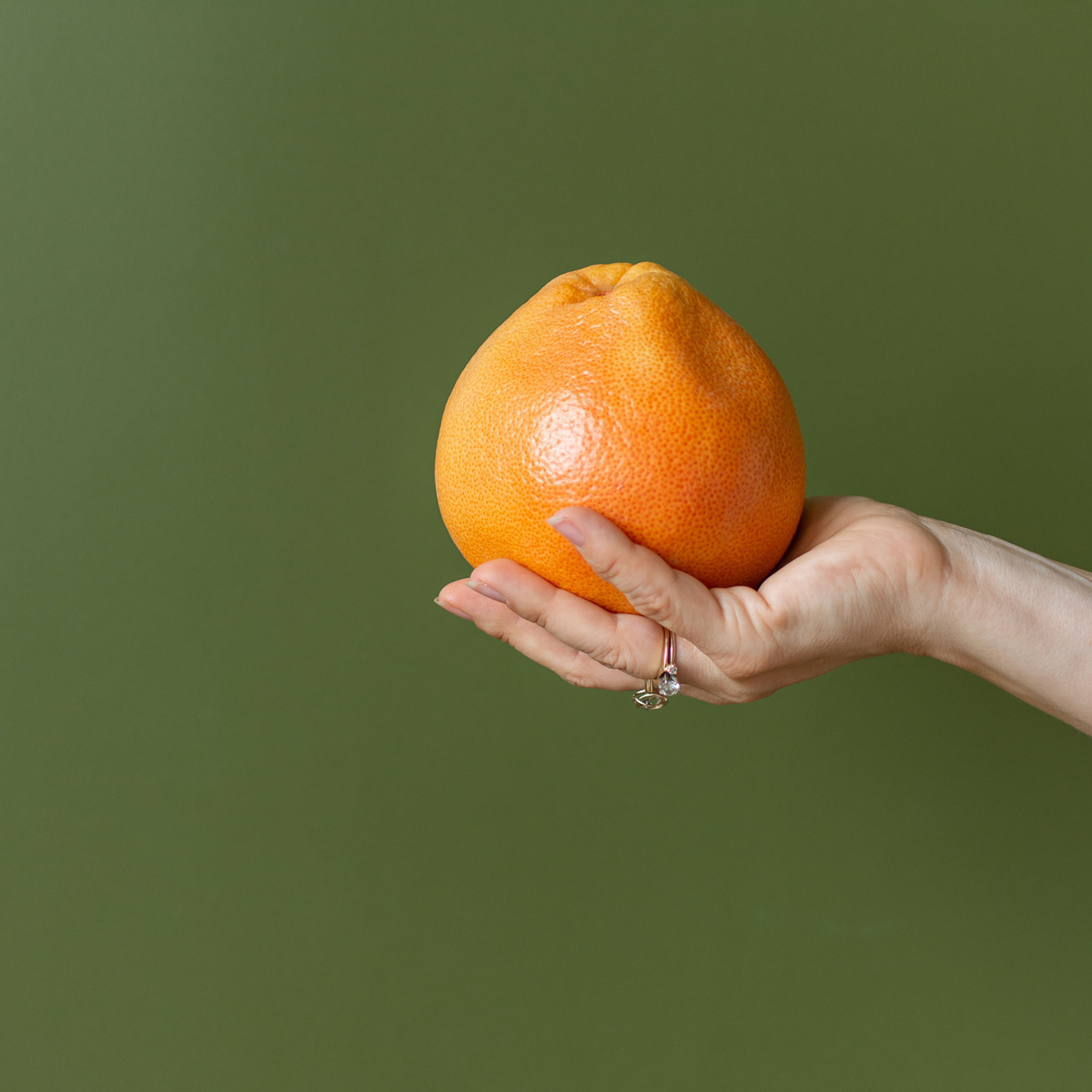 Отзывы. Женский фотограф в Москве и Московской области Лена Чалых