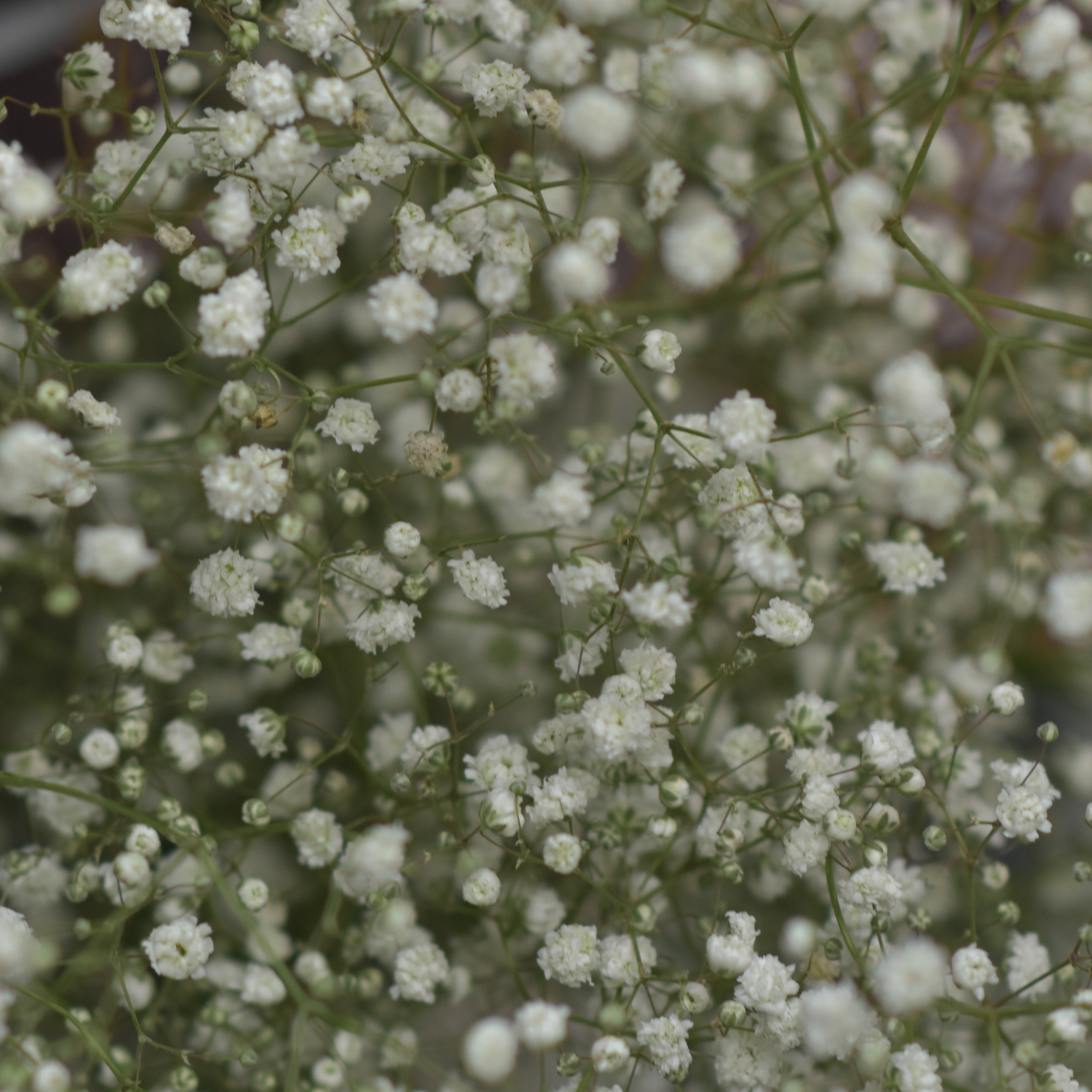 Отзывы. Екатерина и Михаил Шуйцевы Семейный Фотограф и Видеогаф