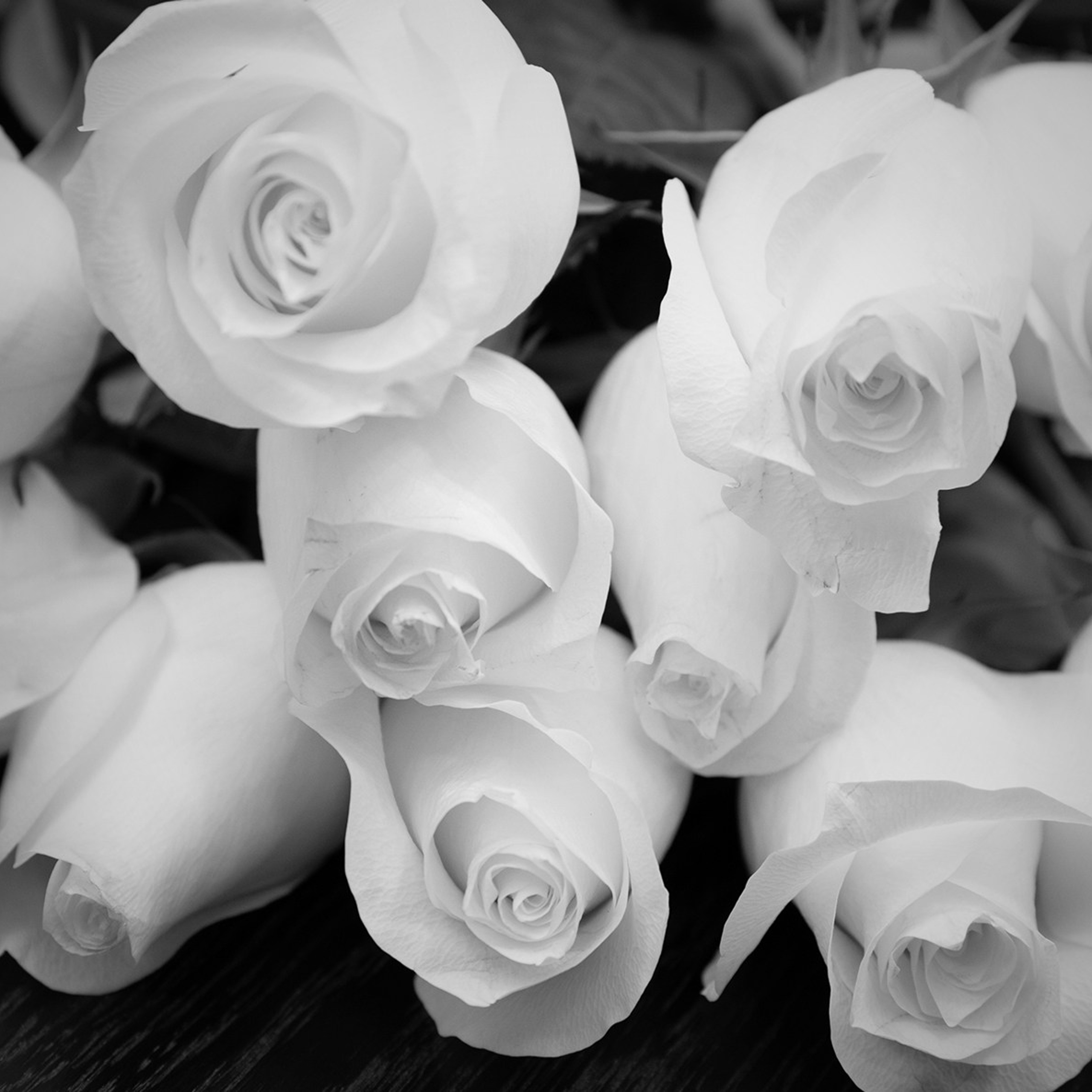 черно белое фото букет роз на свадьбе 
