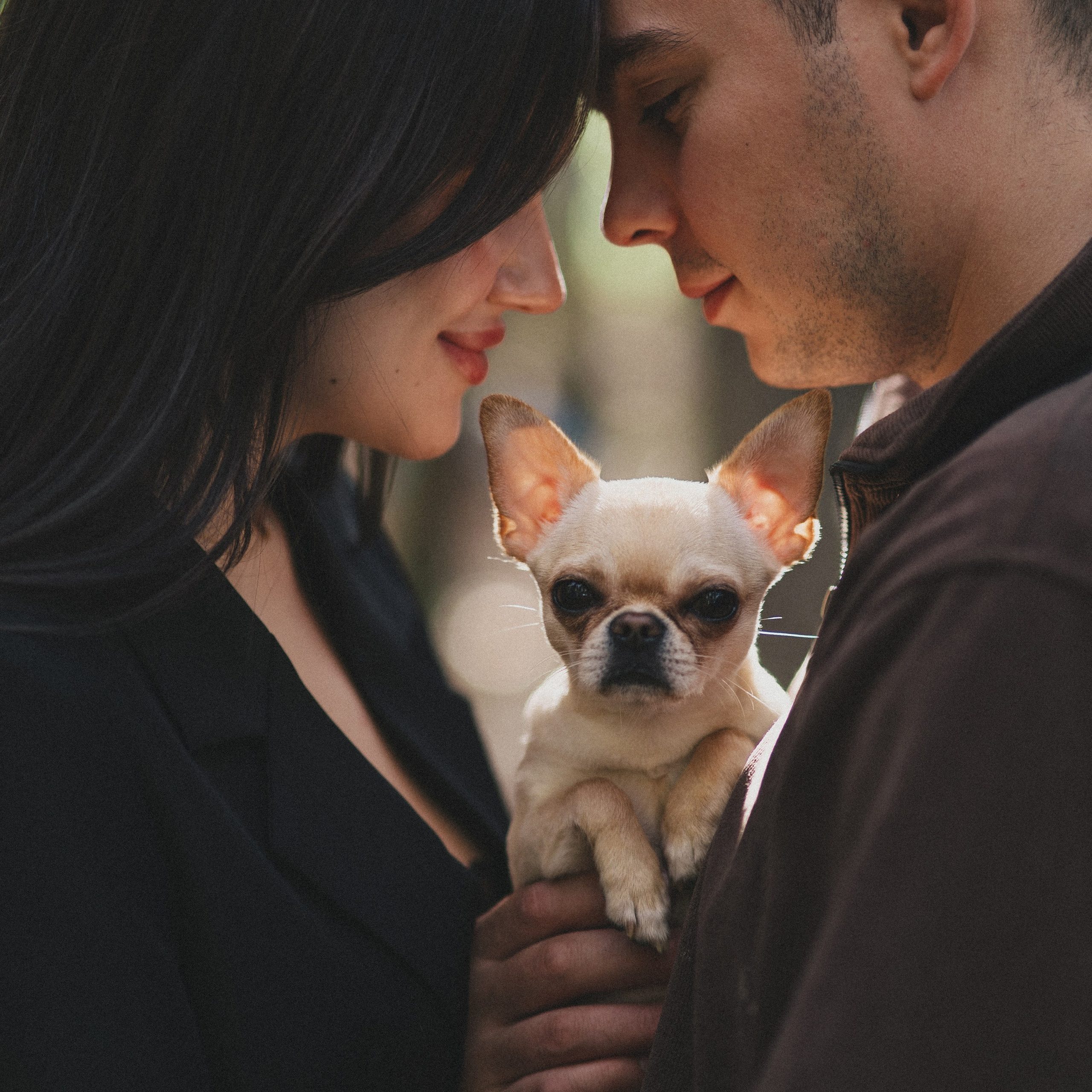 Бари и его люди