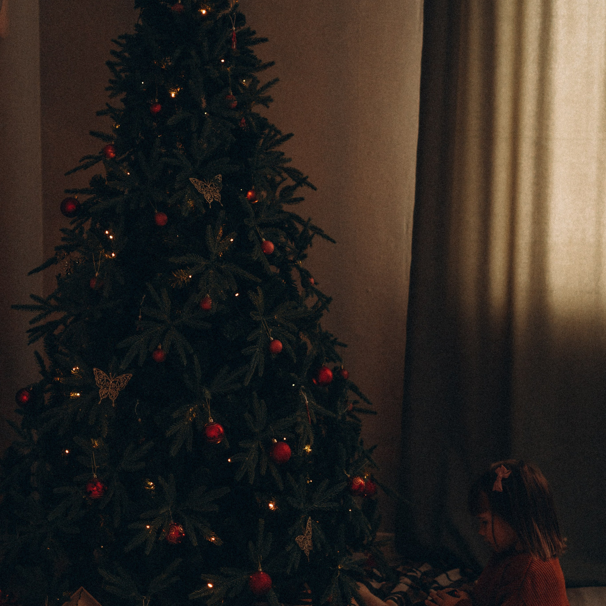 Ваши отзывы. Фотограф Торопец Кристина Абрамова Kanwellia photography