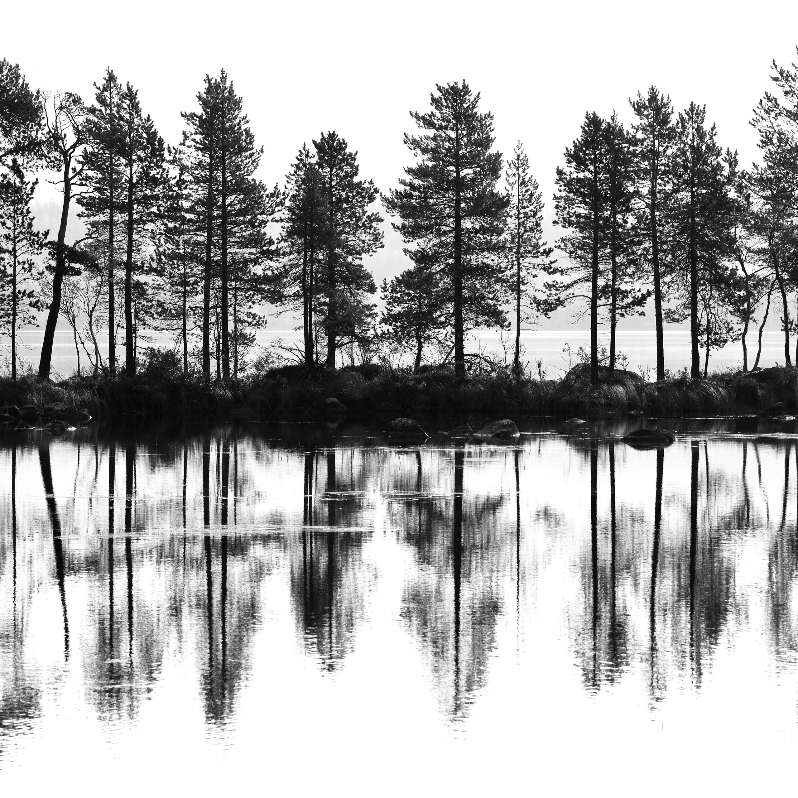 Мурманская область