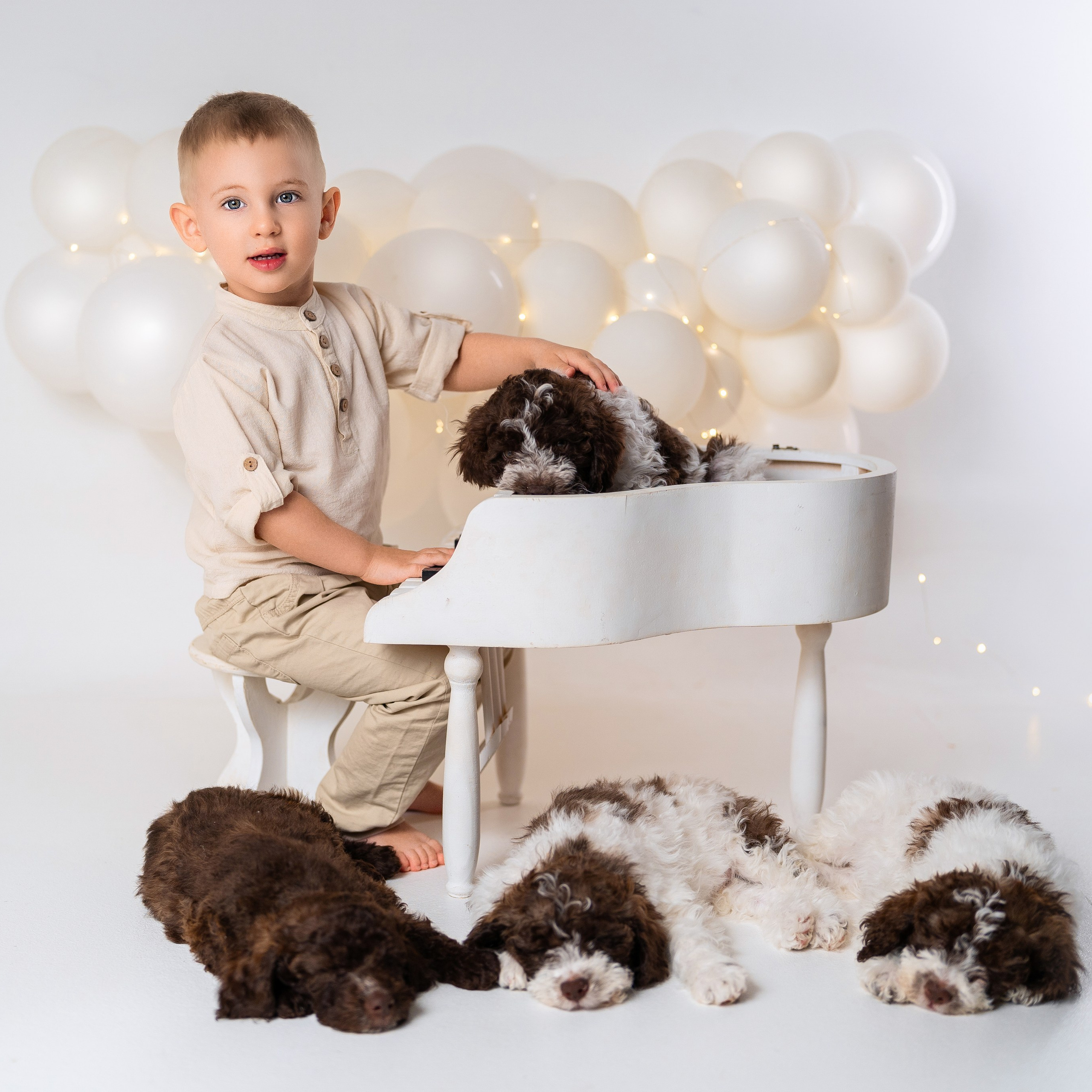 Щенки лаготто. Детский и семейный фотограф в Краснодаре Анастасия Blumberry