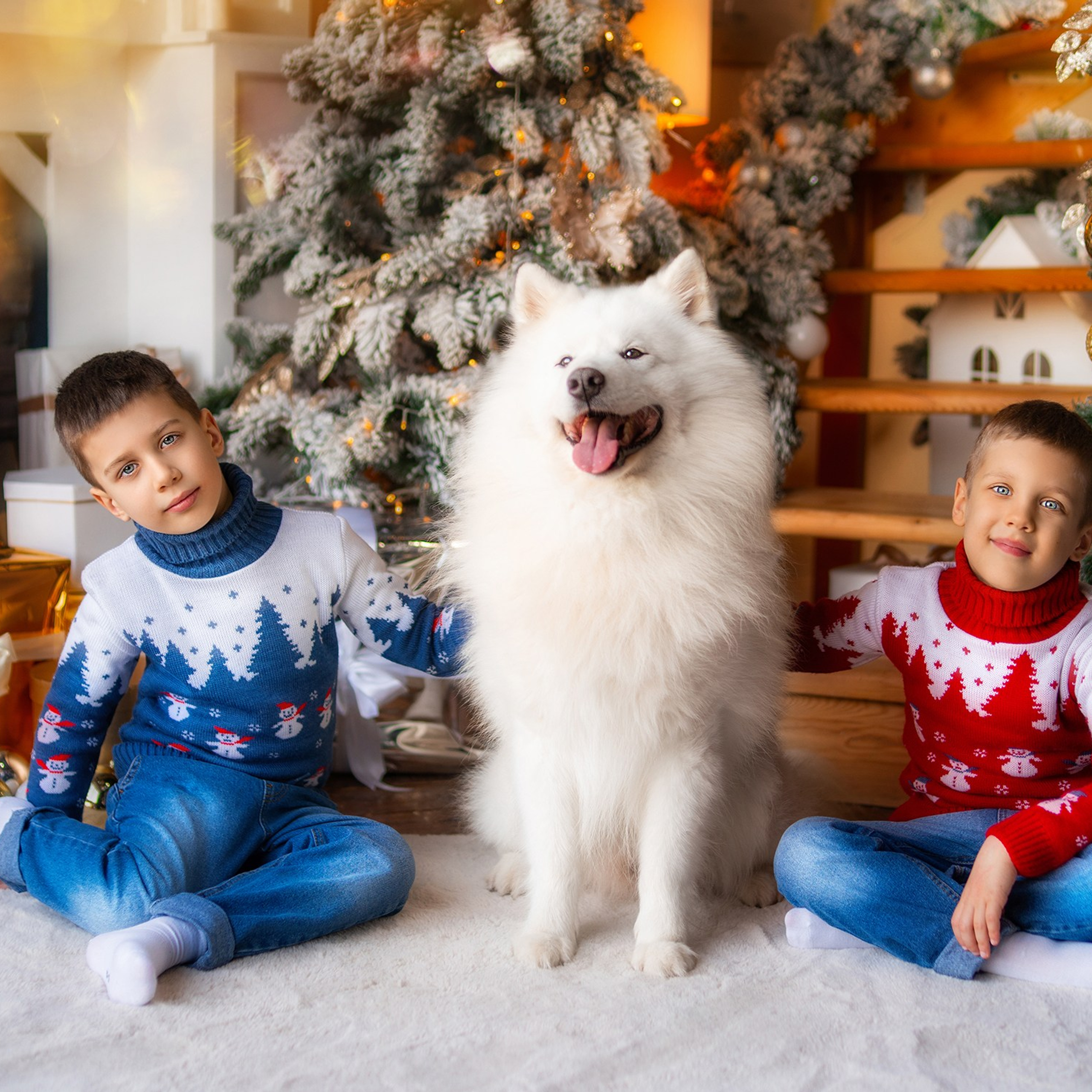 Новогодняя с самоедом и кроликом. Детский и семейный фотограф в Краснодаре Анастасия Blumberry