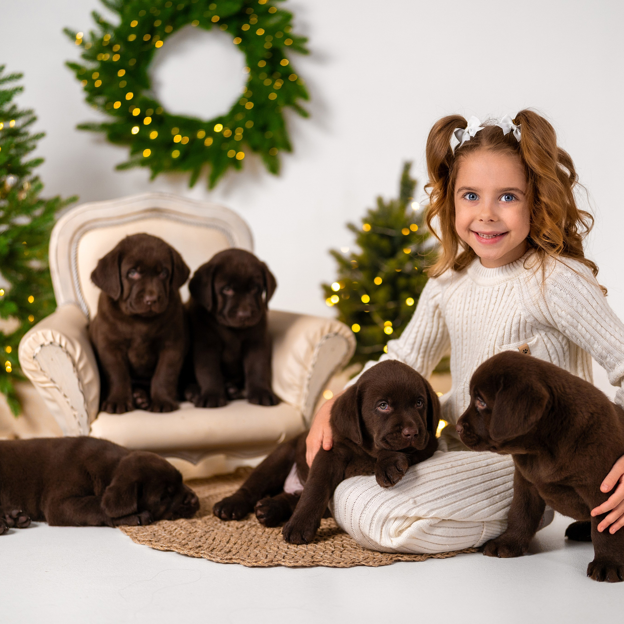 Щенки лабрадоры. Детский и семейный фотограф в Краснодаре Анастасия Blumberry