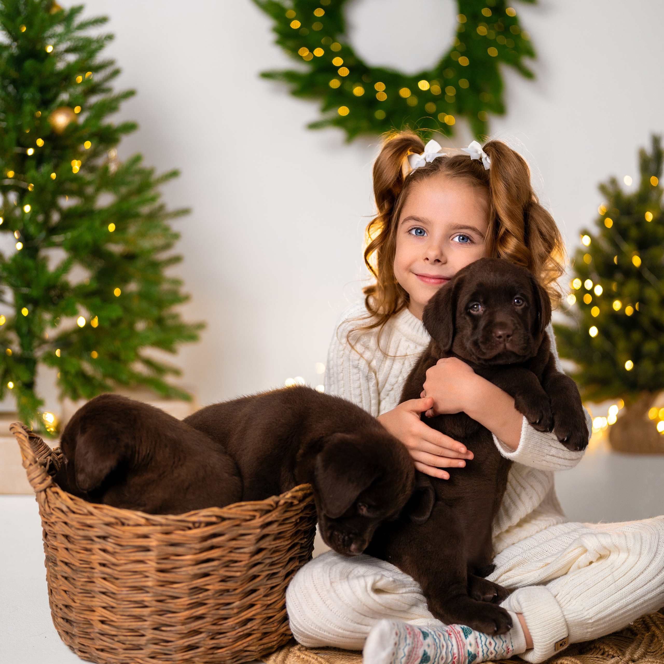 Щенки лабрадоры. Детский и семейный фотограф в Краснодаре Анастасия Blumberry