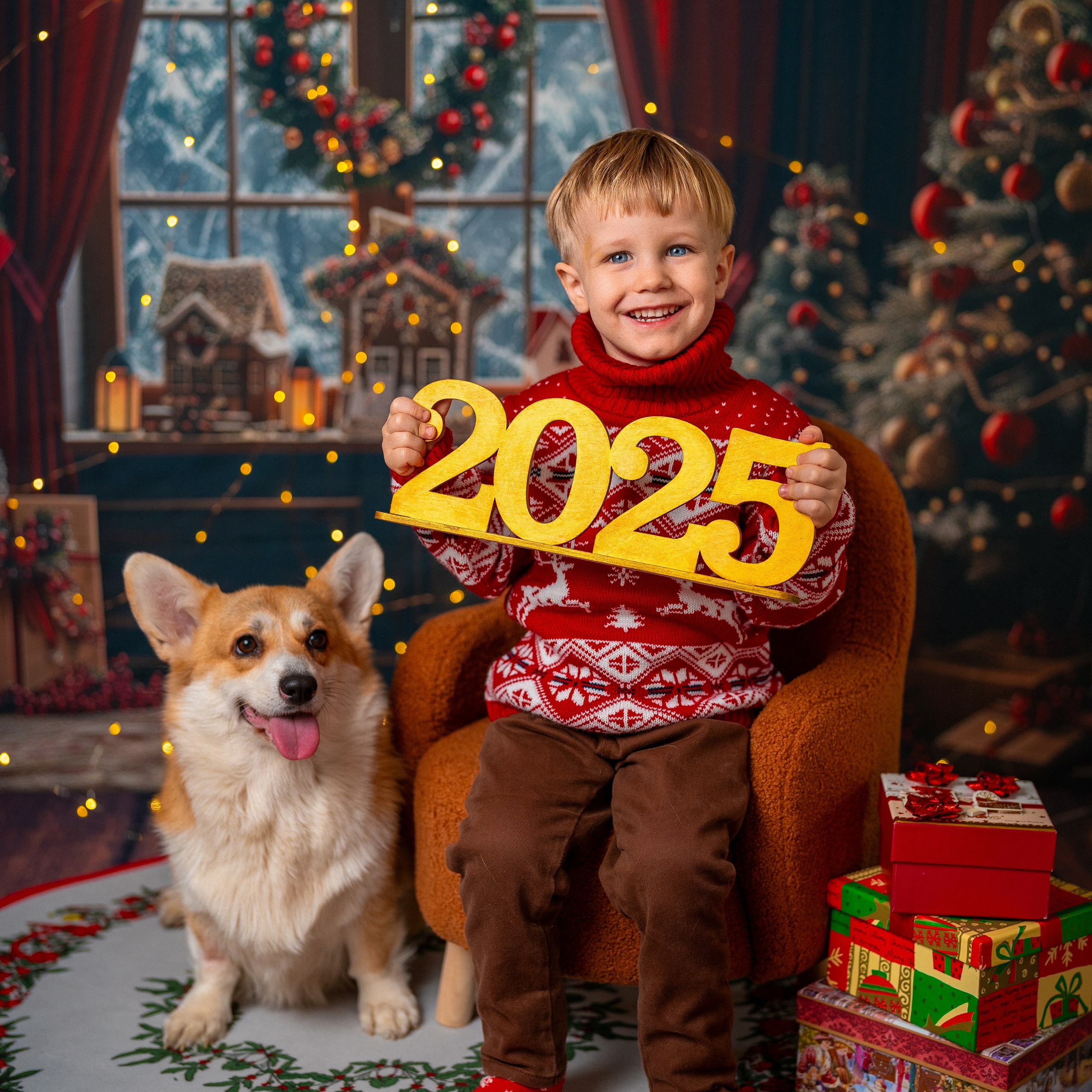 Новогодняя комната с корги. Детский и семейный фотограф в Краснодаре Анастасия Blumberry