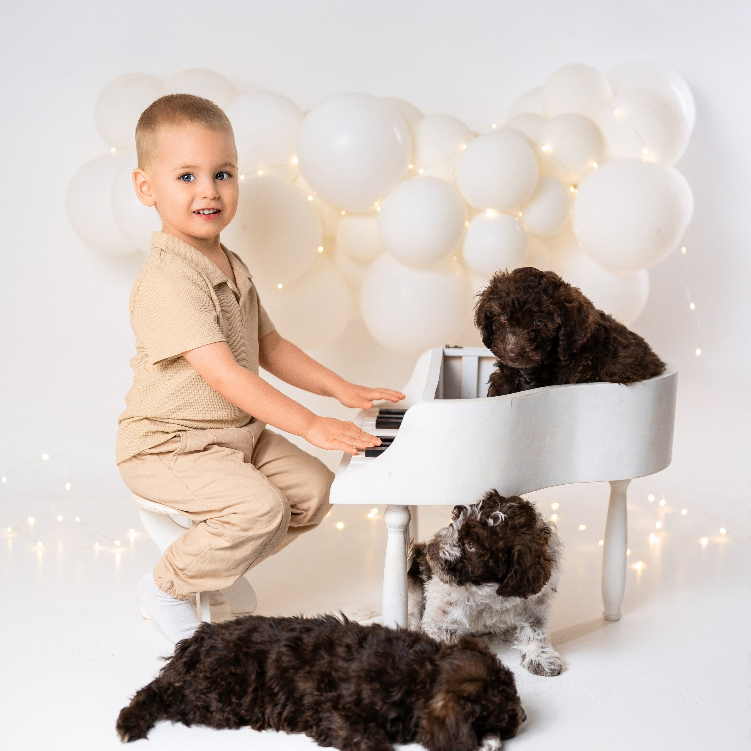 Щенки лаготто. Детский и семейный фотограф в Краснодаре Анастасия Blumberry