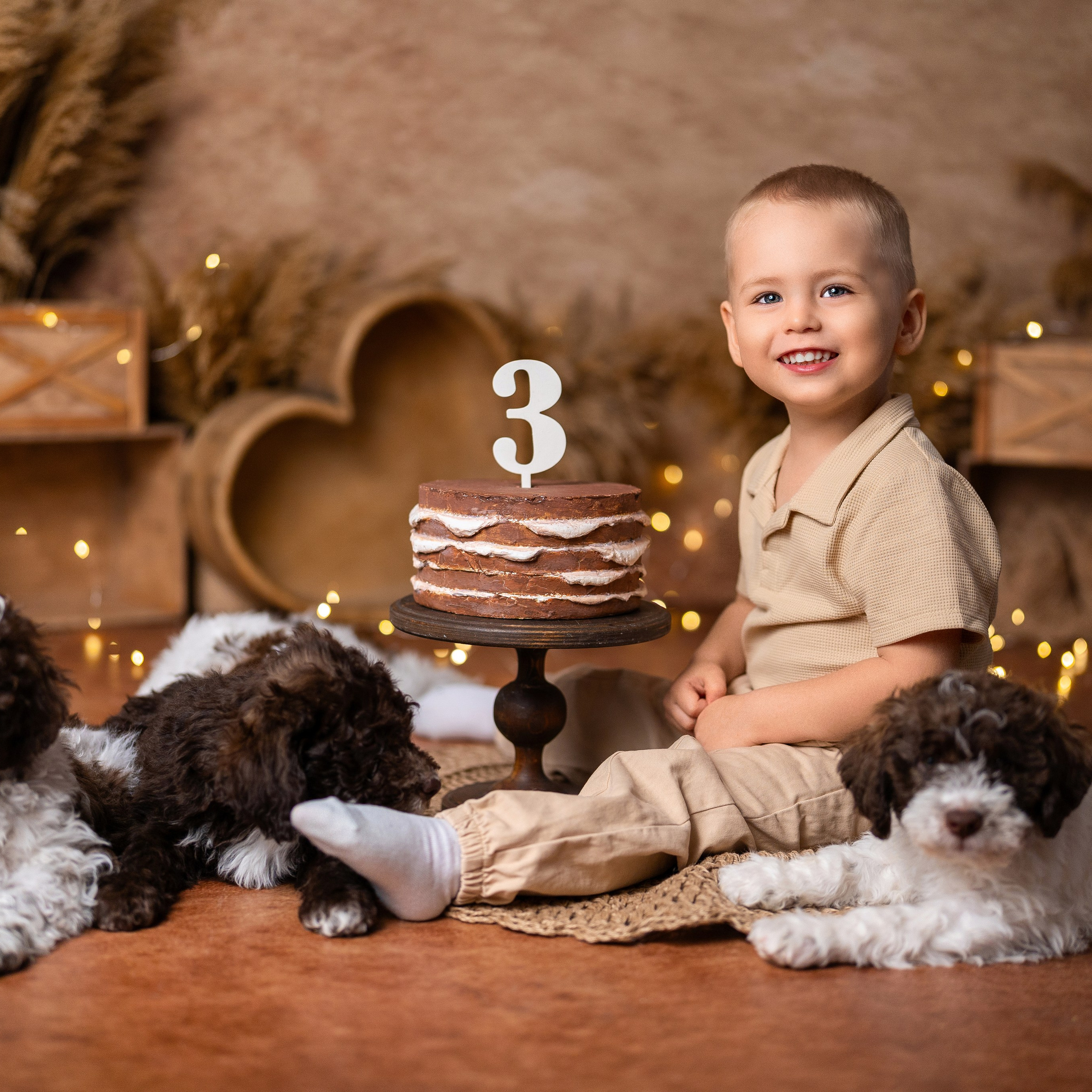 Щенки лаготто. Детский и семейный фотограф в Краснодаре Анастасия Blumberry