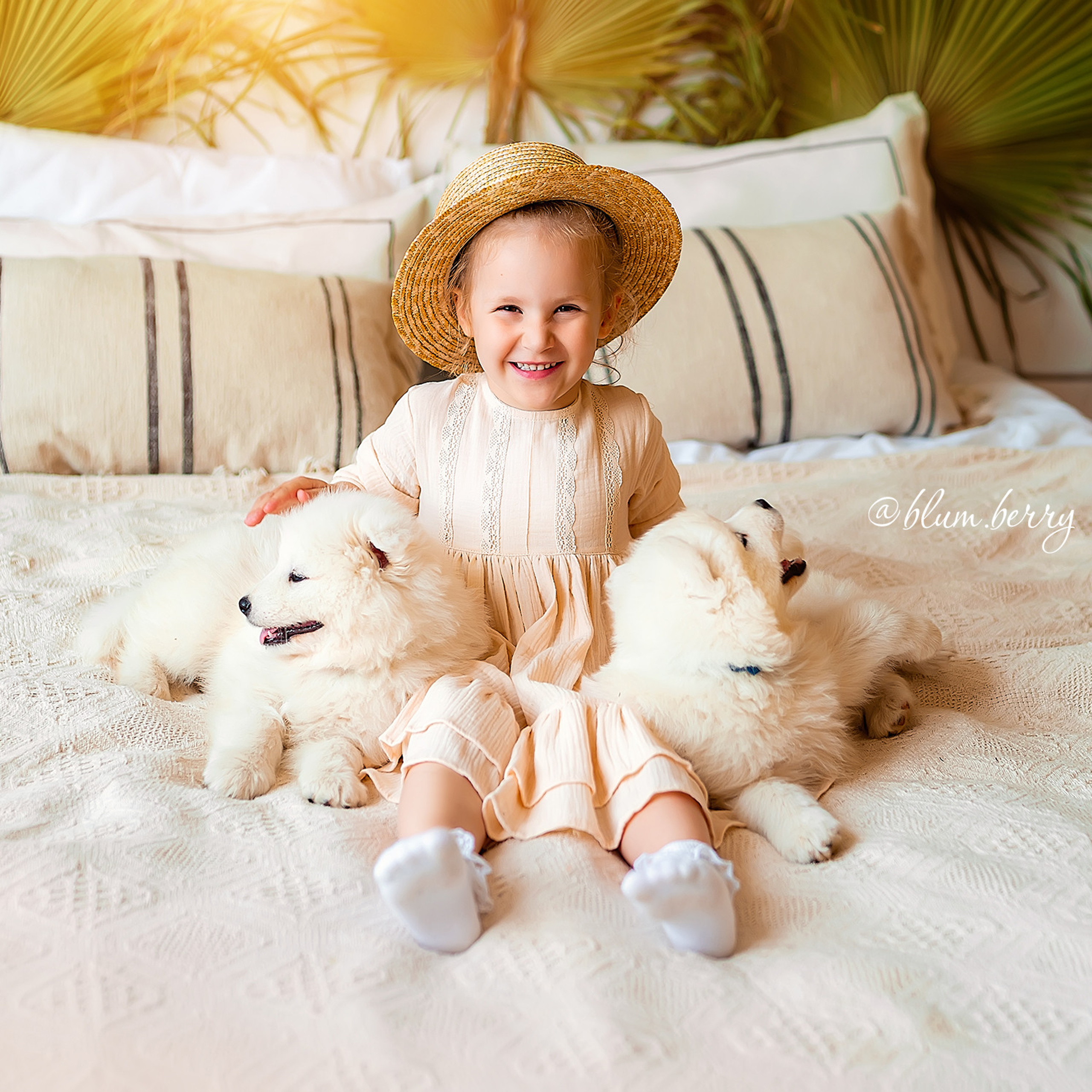 Щенки самоеда. Детский и семейный фотограф в Краснодаре Анастасия Blumberry