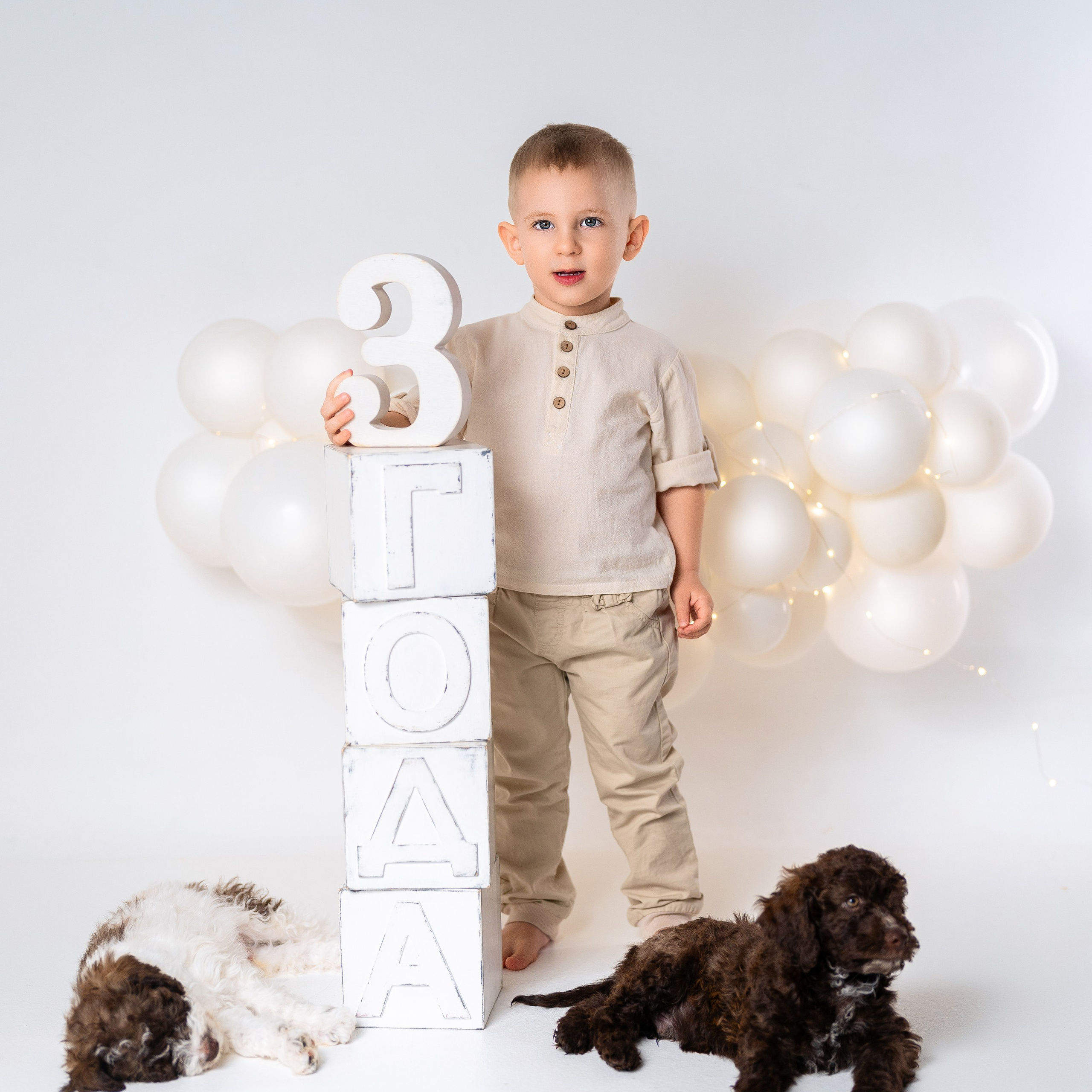 Щенки лаготто. Детский и семейный фотограф в Краснодаре Анастасия Blumberry