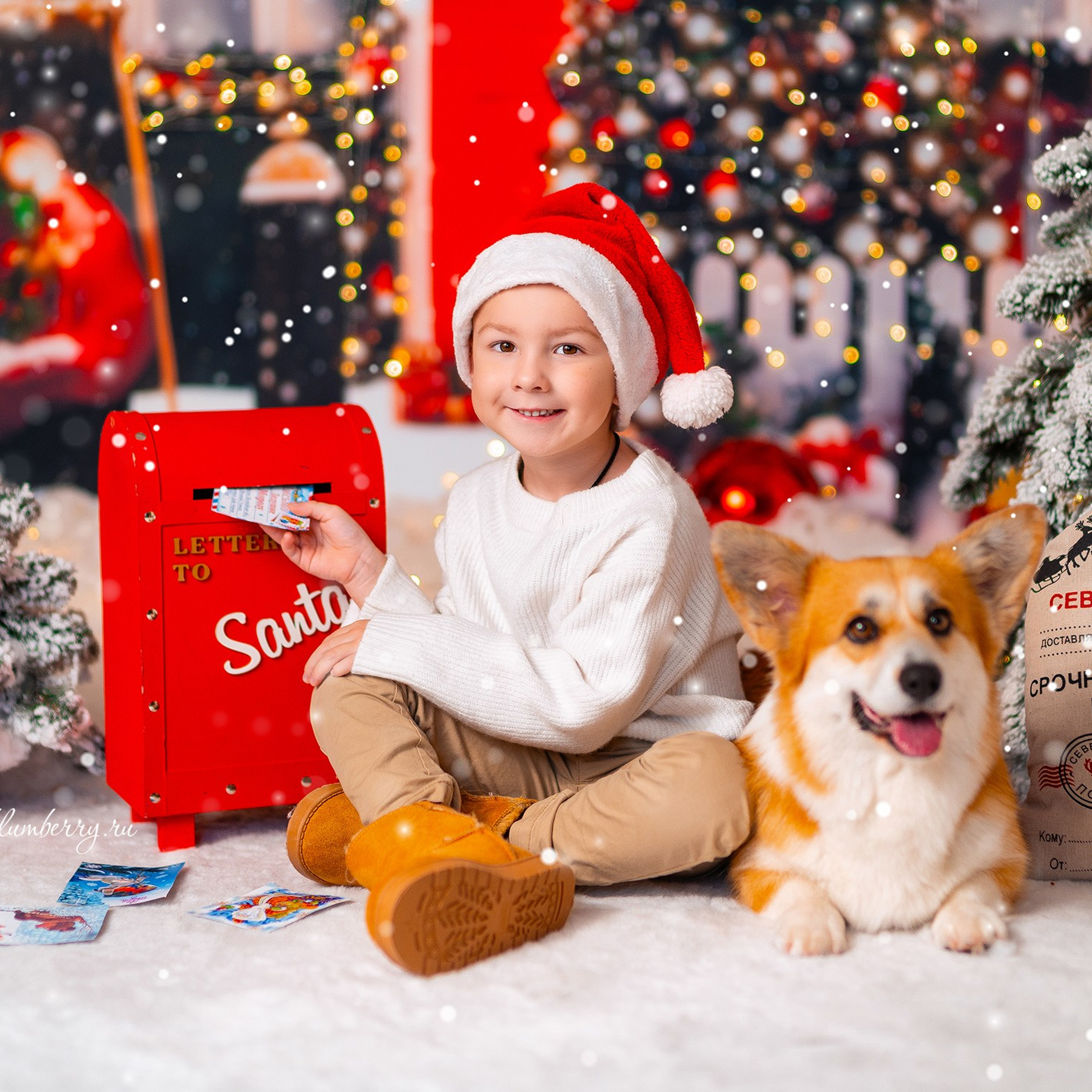 Новогодняя с корги. Детский и семейный фотограф в Краснодаре Анастасия Blumberry