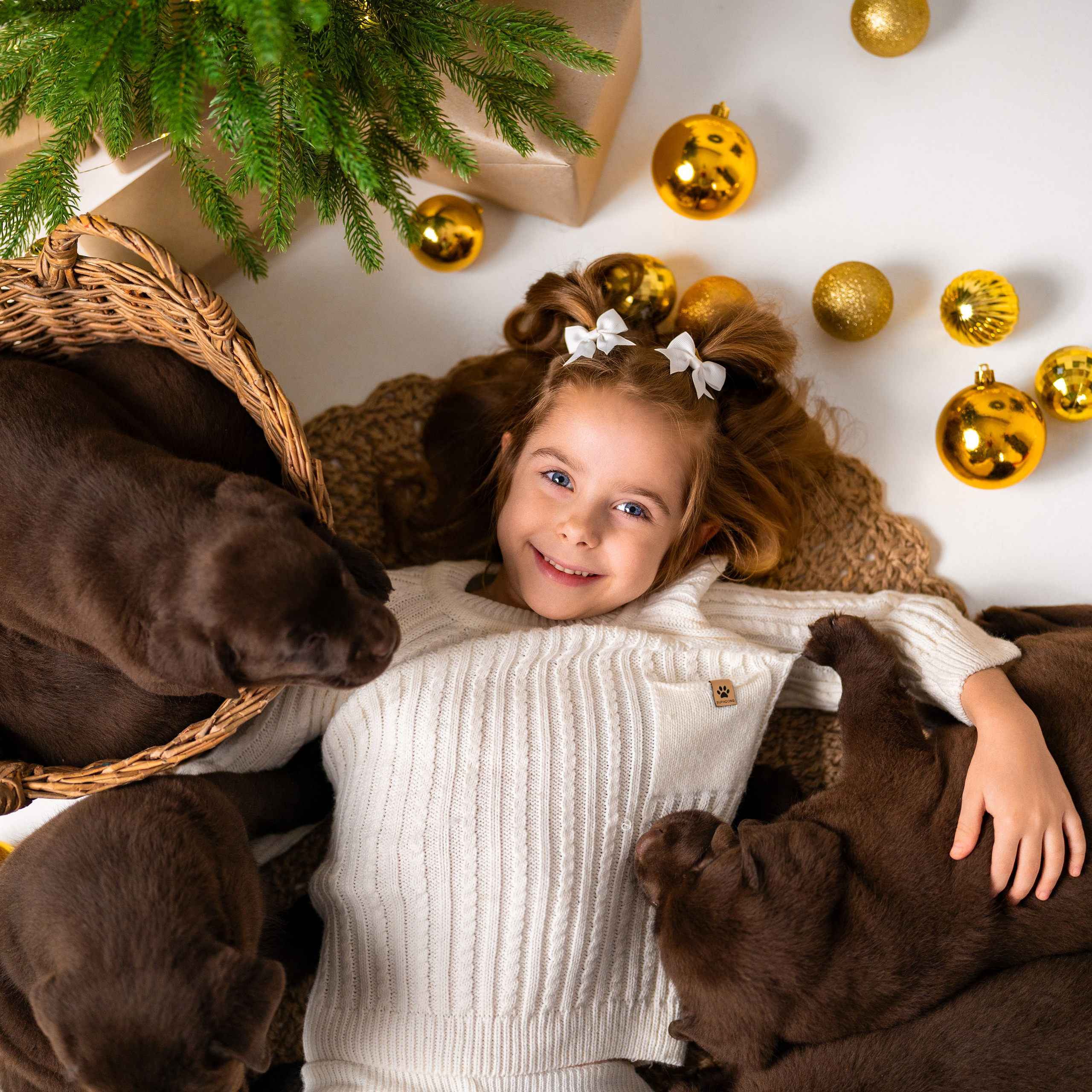 Щенки лабрадоры. Детский и семейный фотограф в Краснодаре Анастасия Blumberry