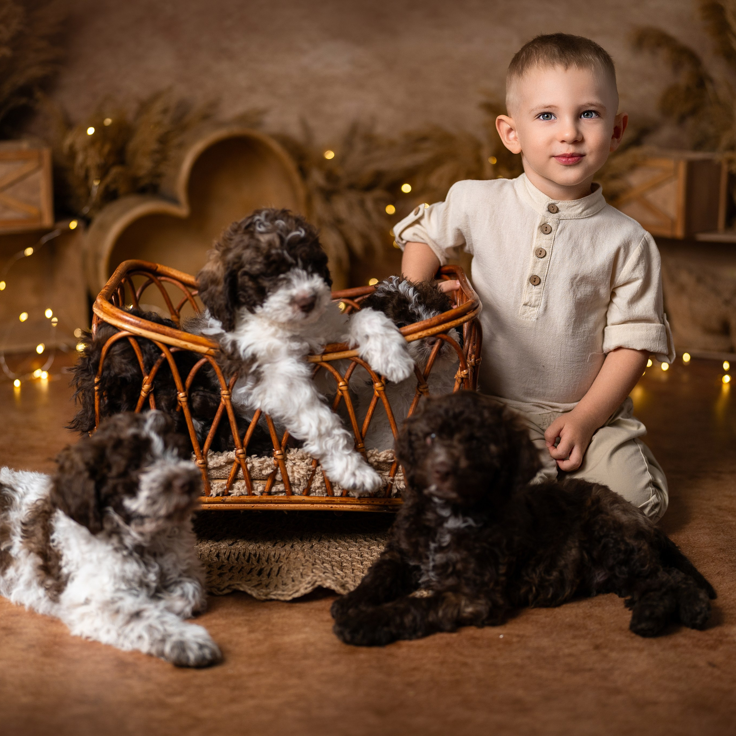 Щенки лаготто. Детский и семейный фотограф в Краснодаре Анастасия Blumberry