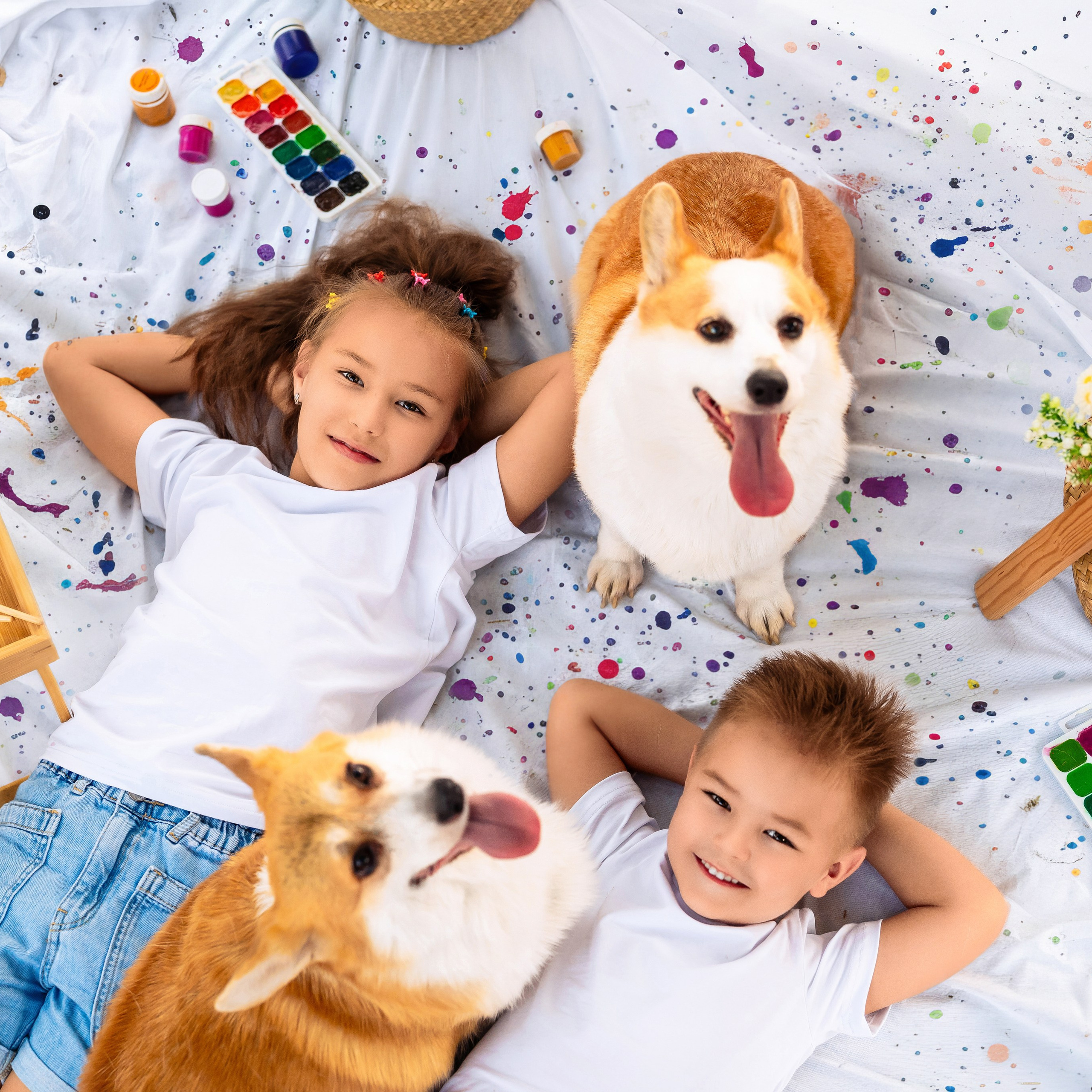 Краски с корги