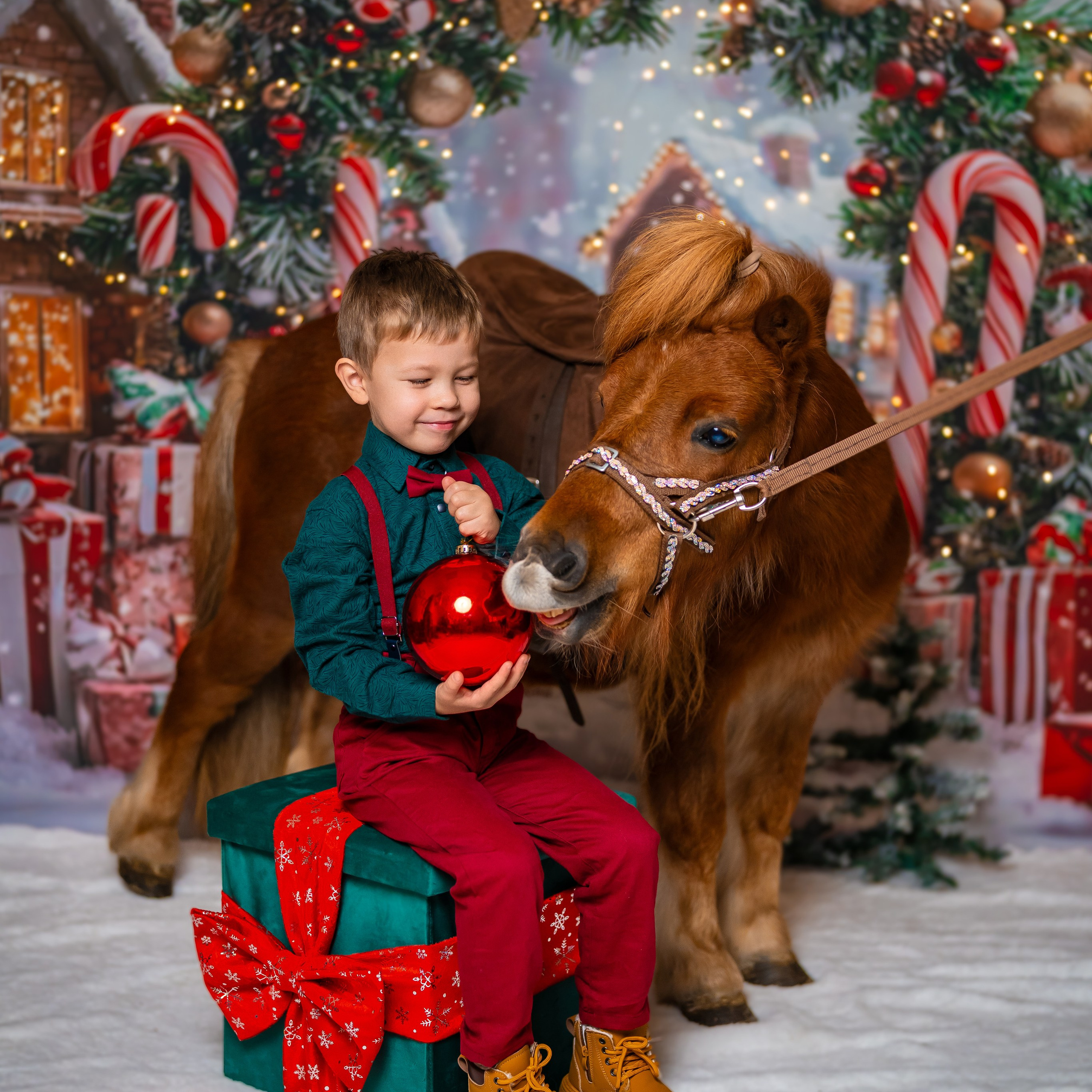 Год лошади. Детский и семейный фотограф в Краснодаре Анастасия Blumberry