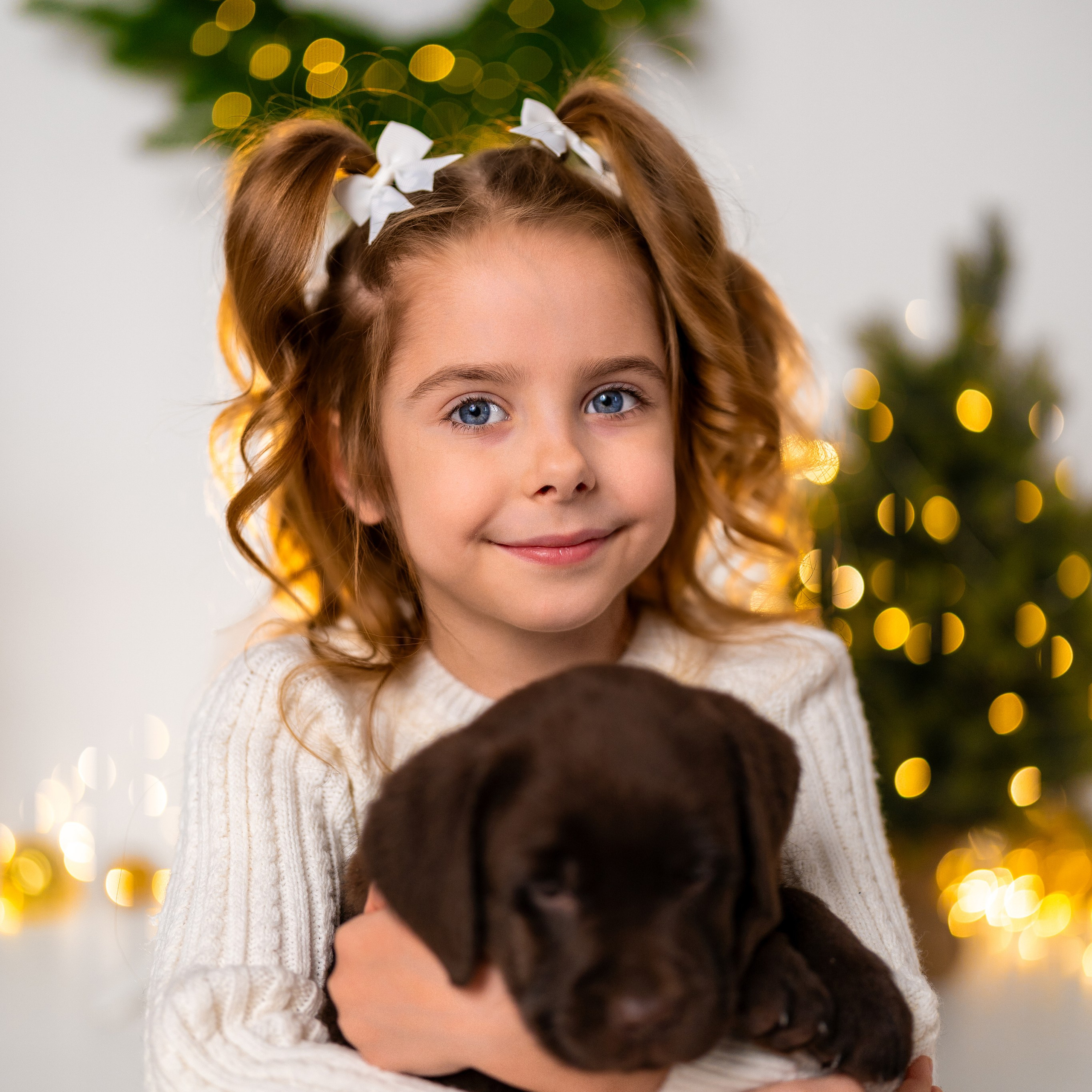 Щенки лабрадоры. Детский и семейный фотограф в Краснодаре Анастасия Blumberry