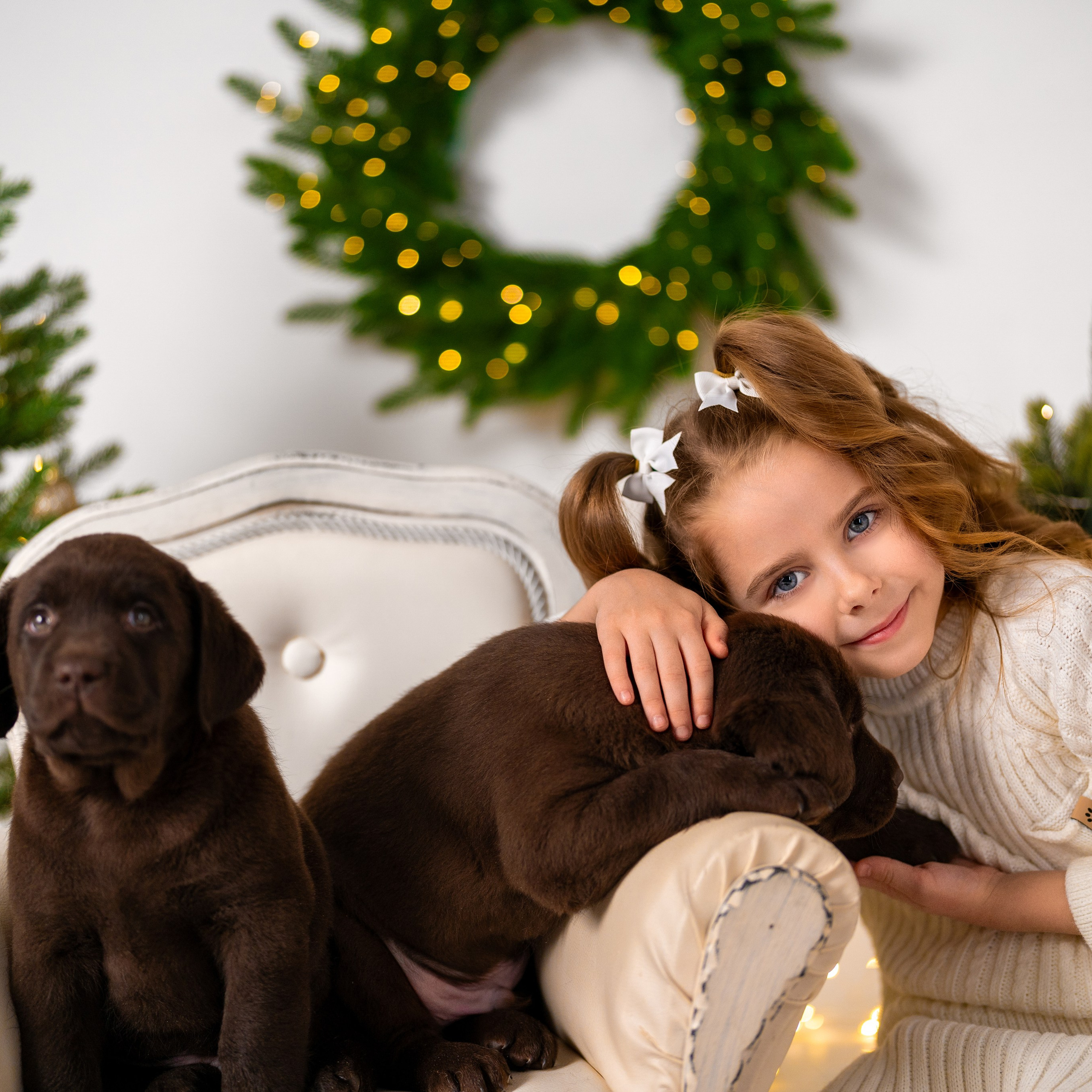 Щенки лабрадоры. Детский и семейный фотограф в Краснодаре Анастасия Blumberry