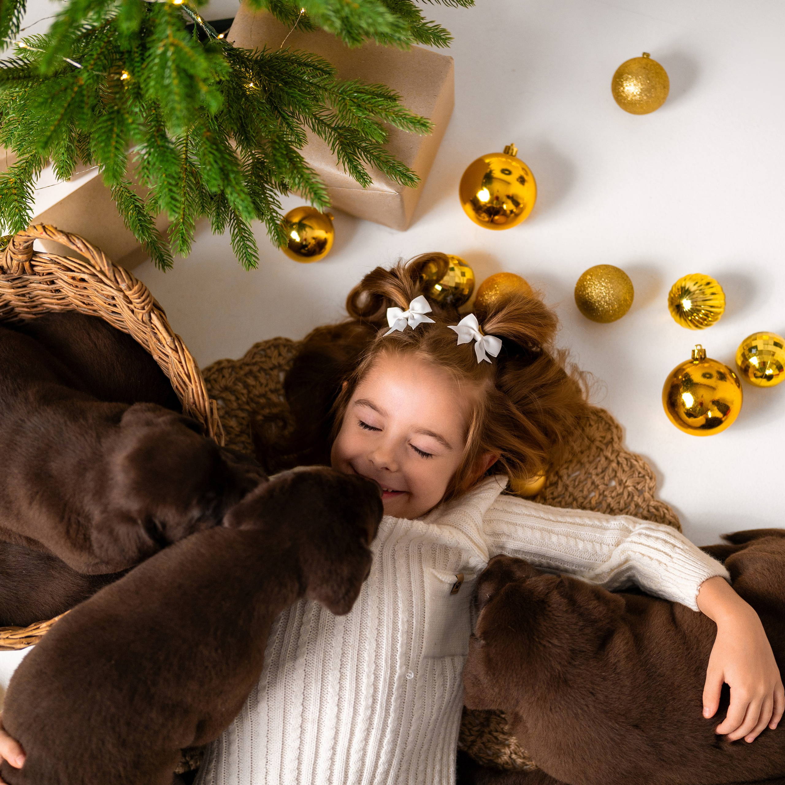 Щенки лабрадоры. Детский и семейный фотограф в Краснодаре Анастасия Blumberry