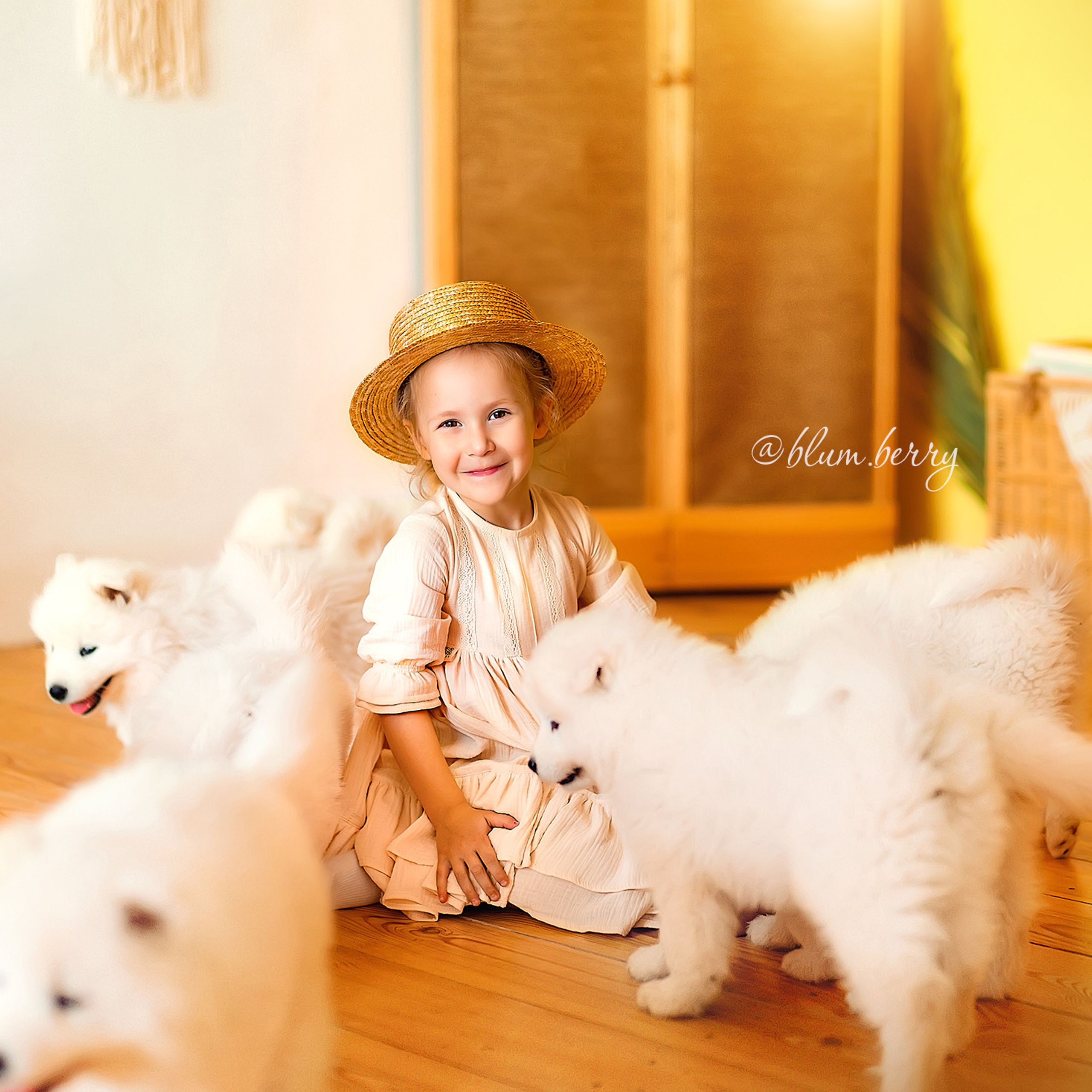 Щенки самоеда. Детский и семейный фотограф в Краснодаре Анастасия Blumberry