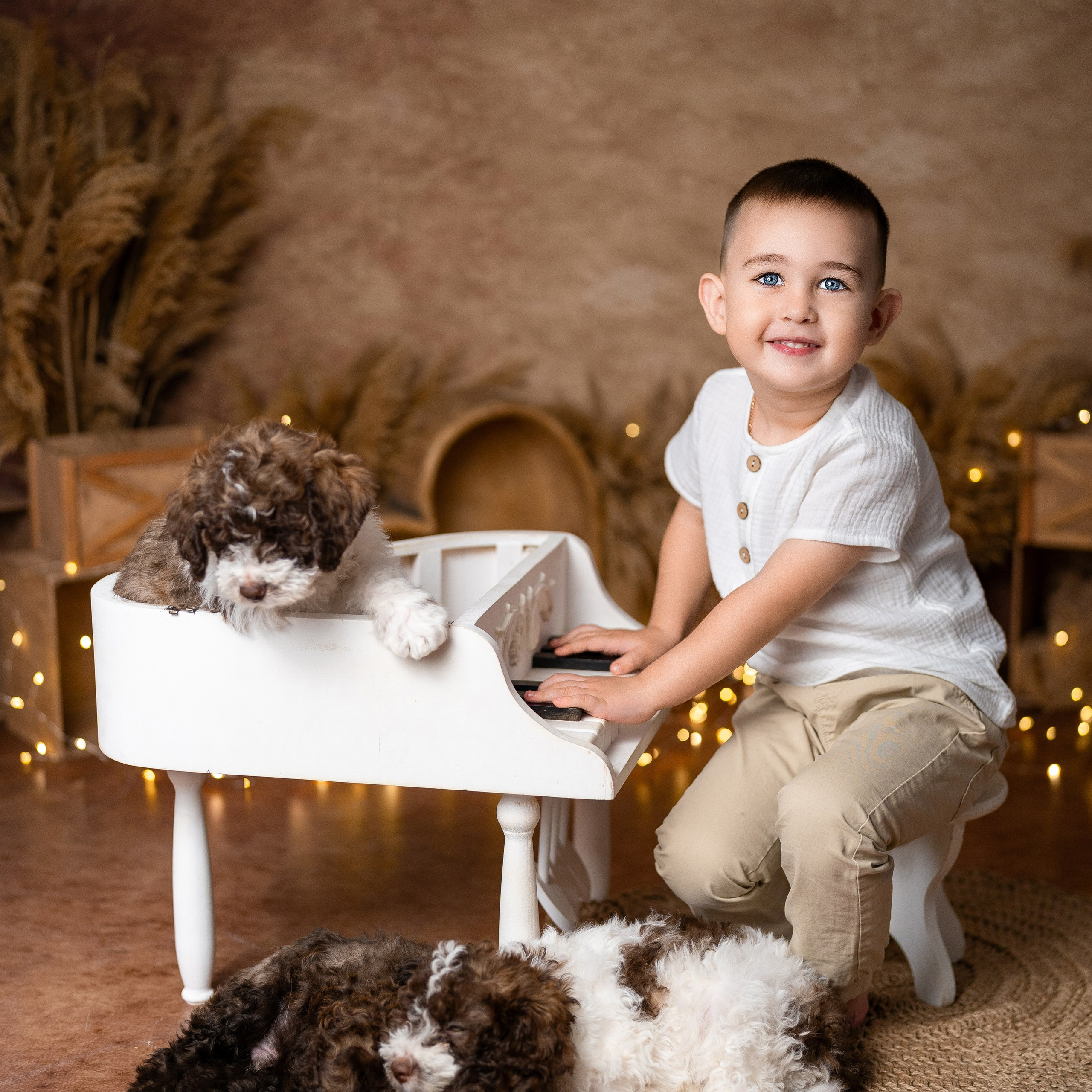 Щенки лаготто. Детский и семейный фотограф в Краснодаре Анастасия Blumberry