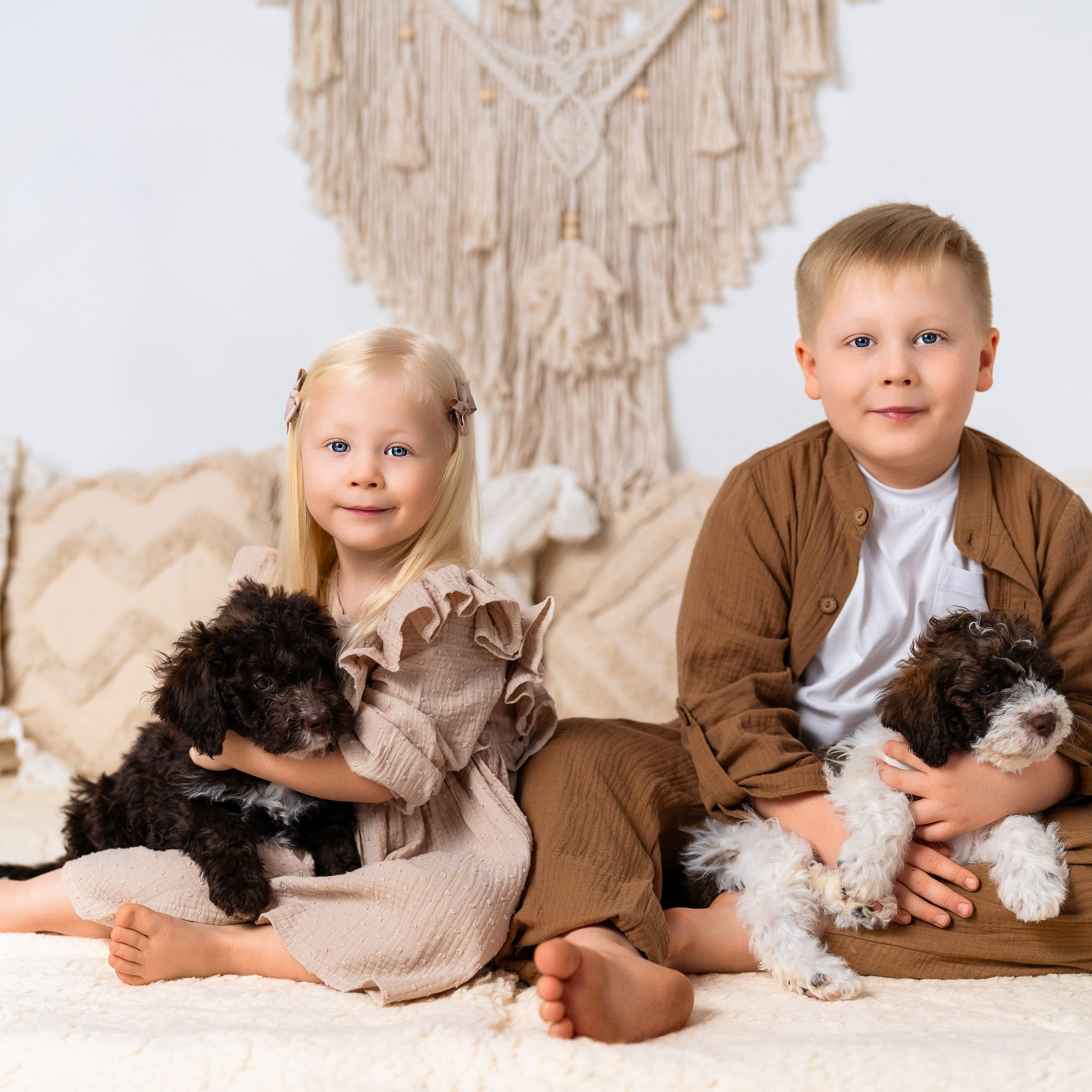 Щенки лаготто. Детский и семейный фотограф в Краснодаре Анастасия Blumberry