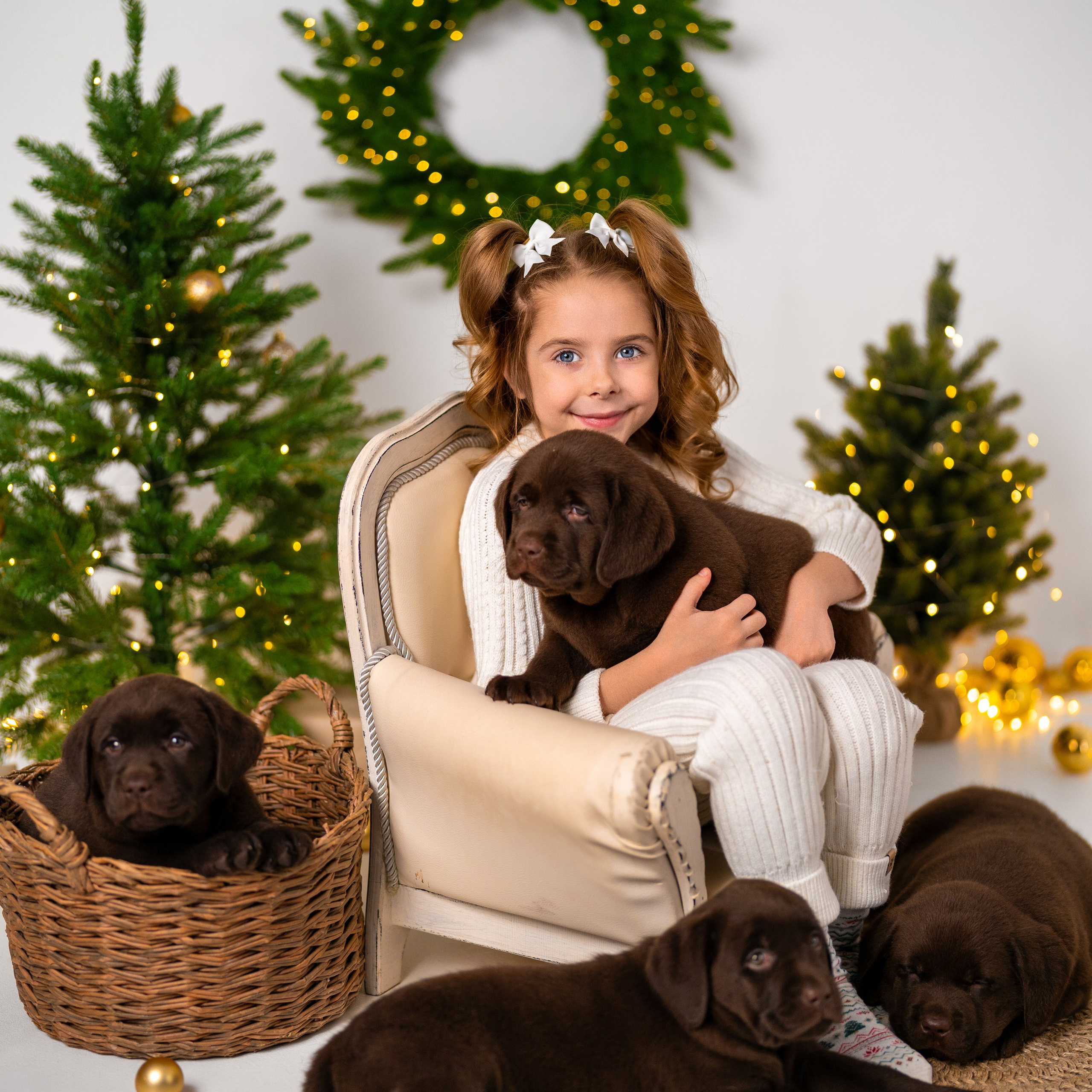 Щенки лабрадоры. Детский и семейный фотограф в Краснодаре Анастасия Blumberry