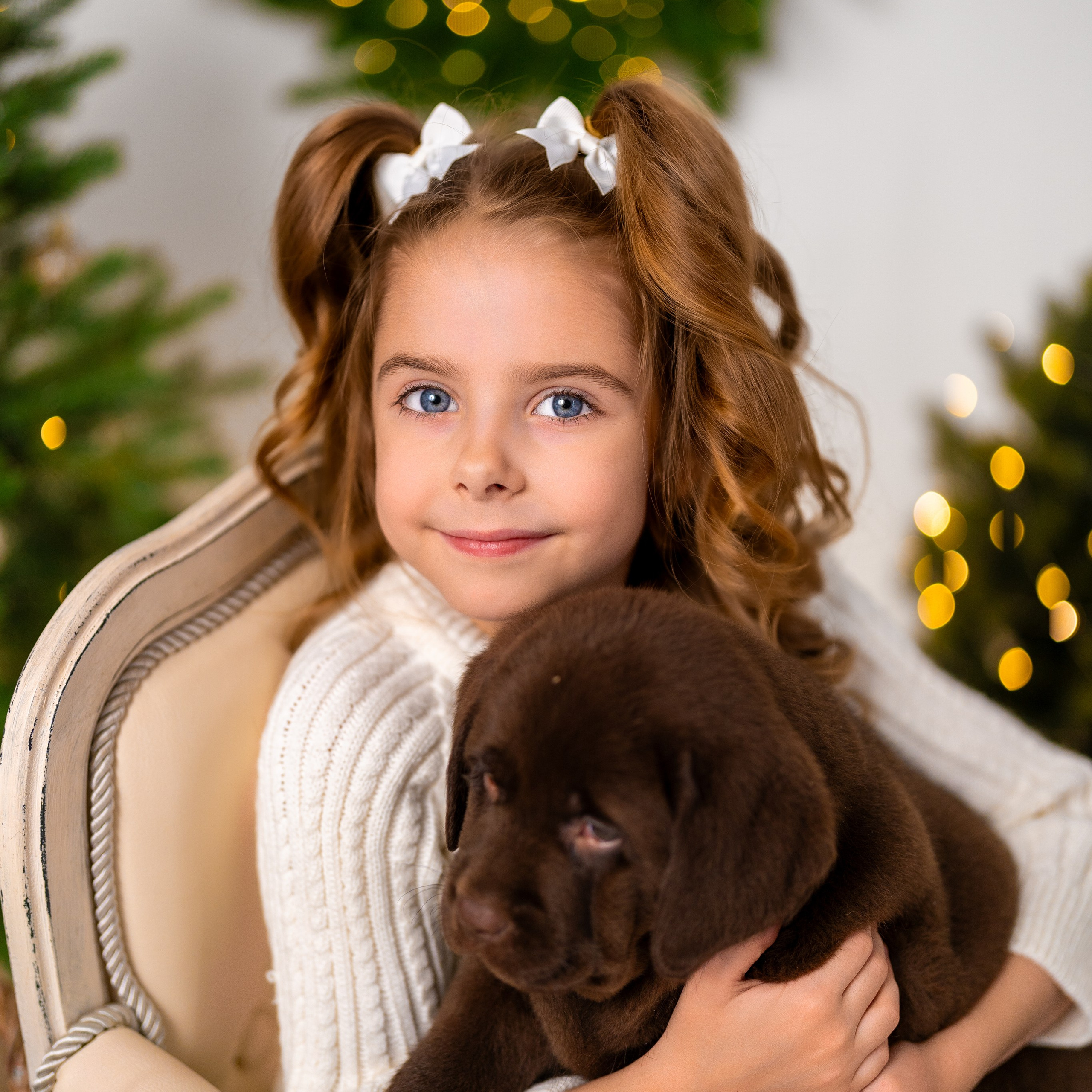 Щенки лабрадоры. Детский и семейный фотограф в Краснодаре Анастасия Blumberry